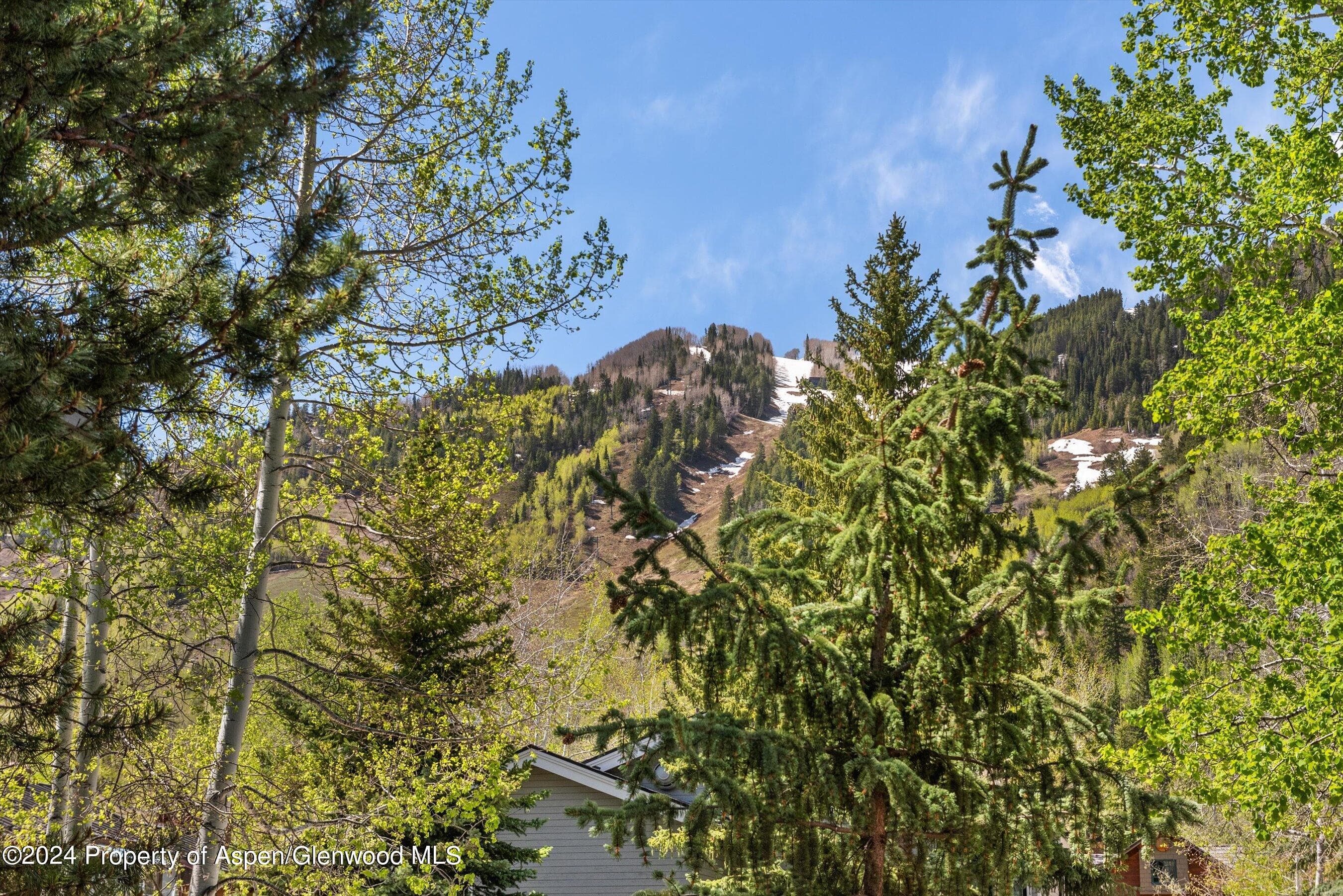 124 W Hyman Avenue 2c, Aspen, CO 81611 - Photo 13
