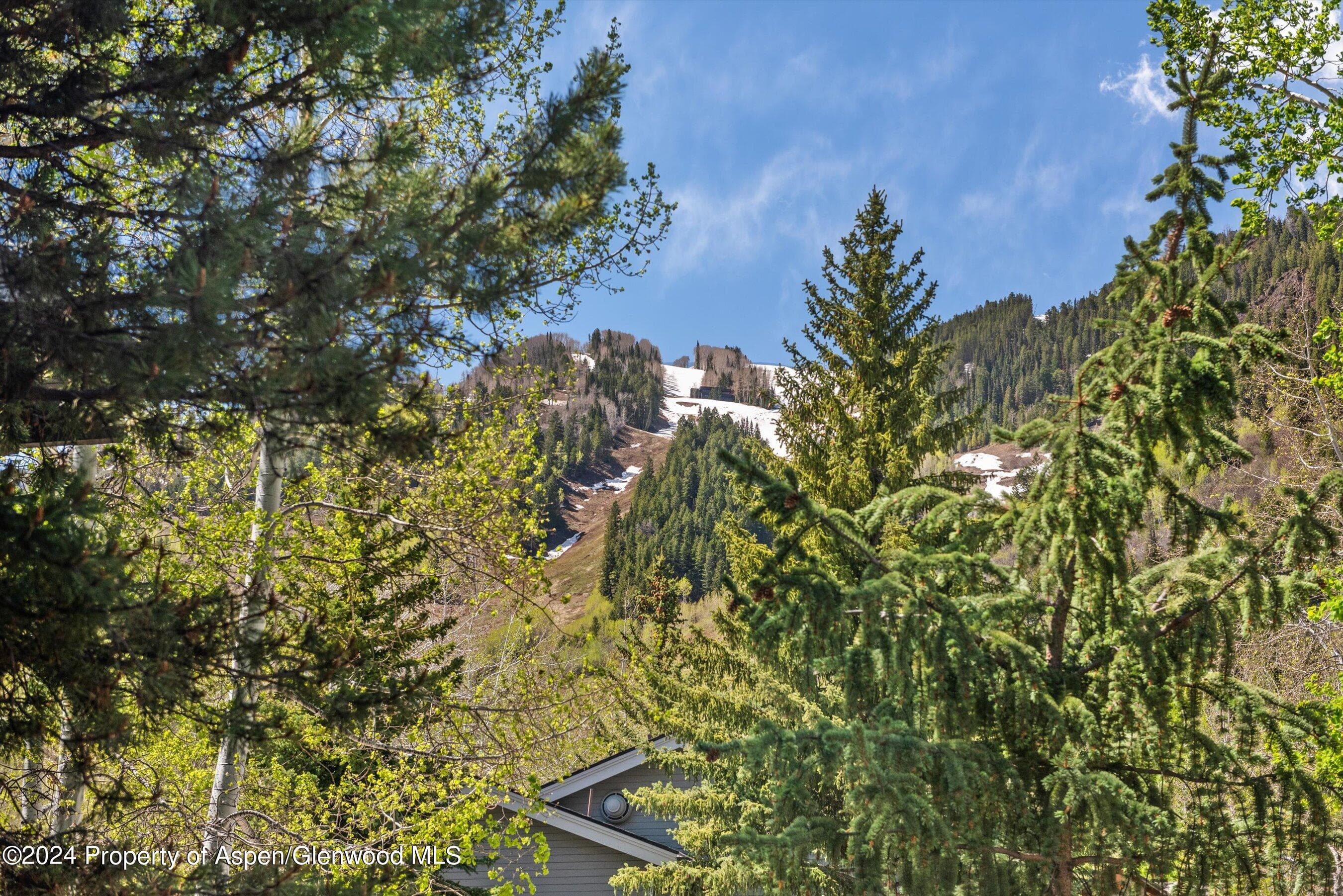 124 W Hyman Avenue 2c, Aspen, CO 81611 - Photo 14