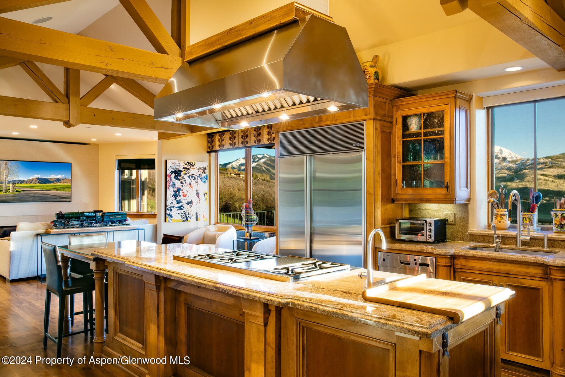200 Stewart Drive, Aspen, CO 81611 - Photo 8