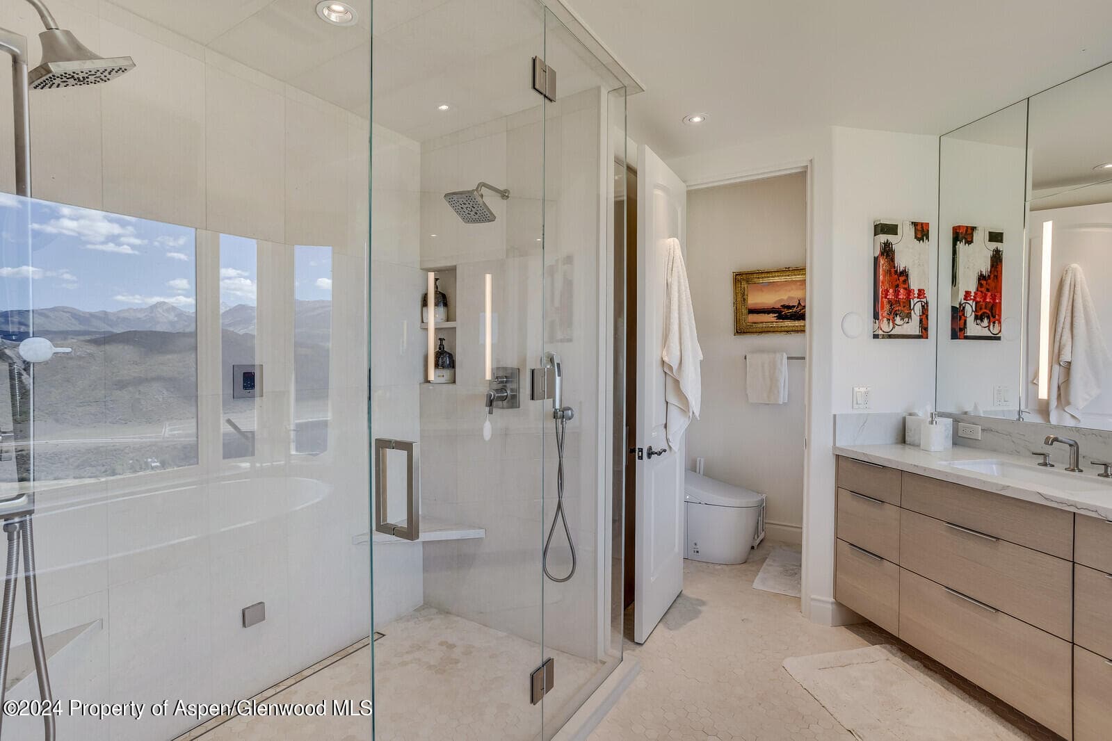 200 Stewart Drive, Aspen, CO 81611 - Photo 19