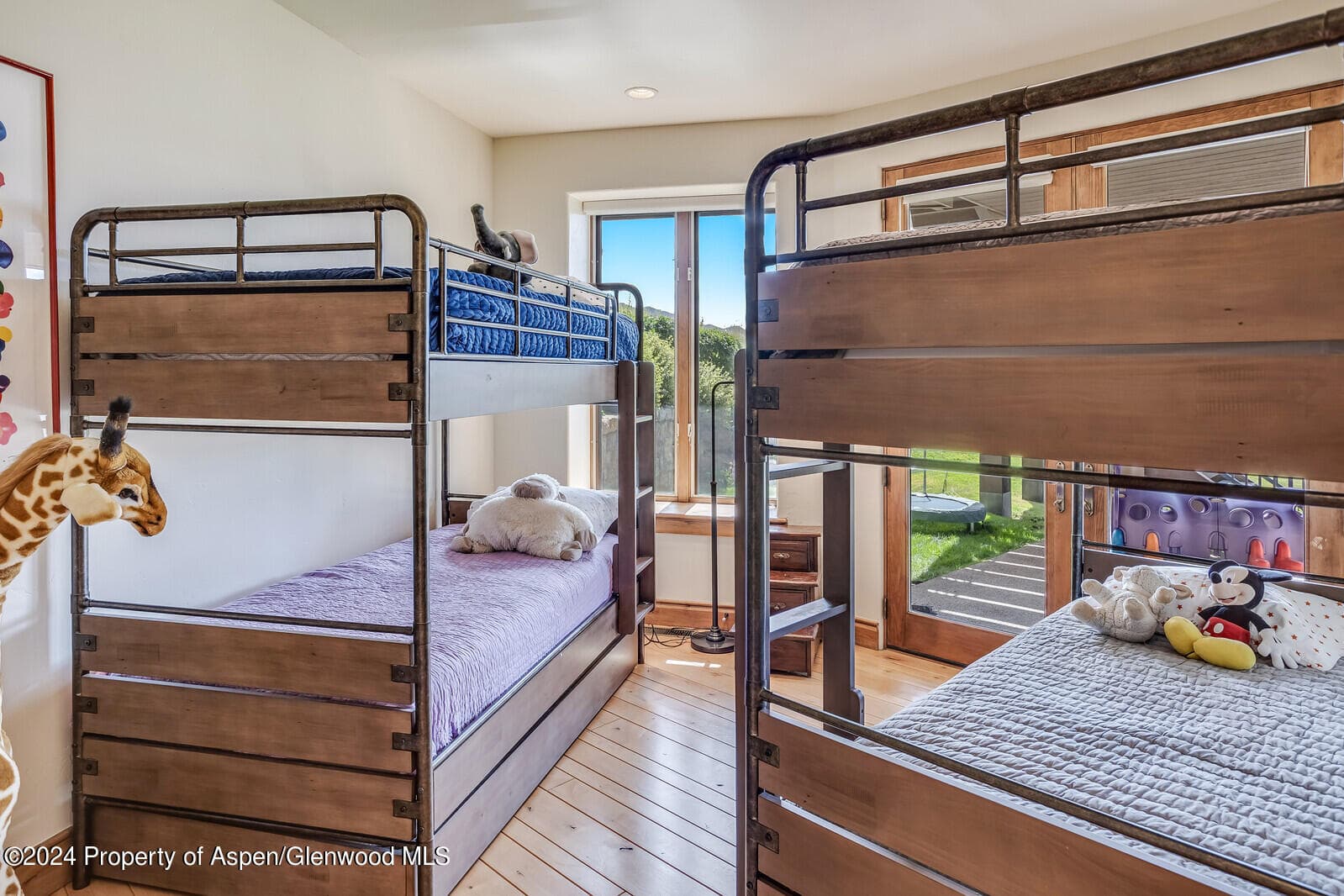 200 Stewart Drive, Aspen, CO 81611 - Photo 24