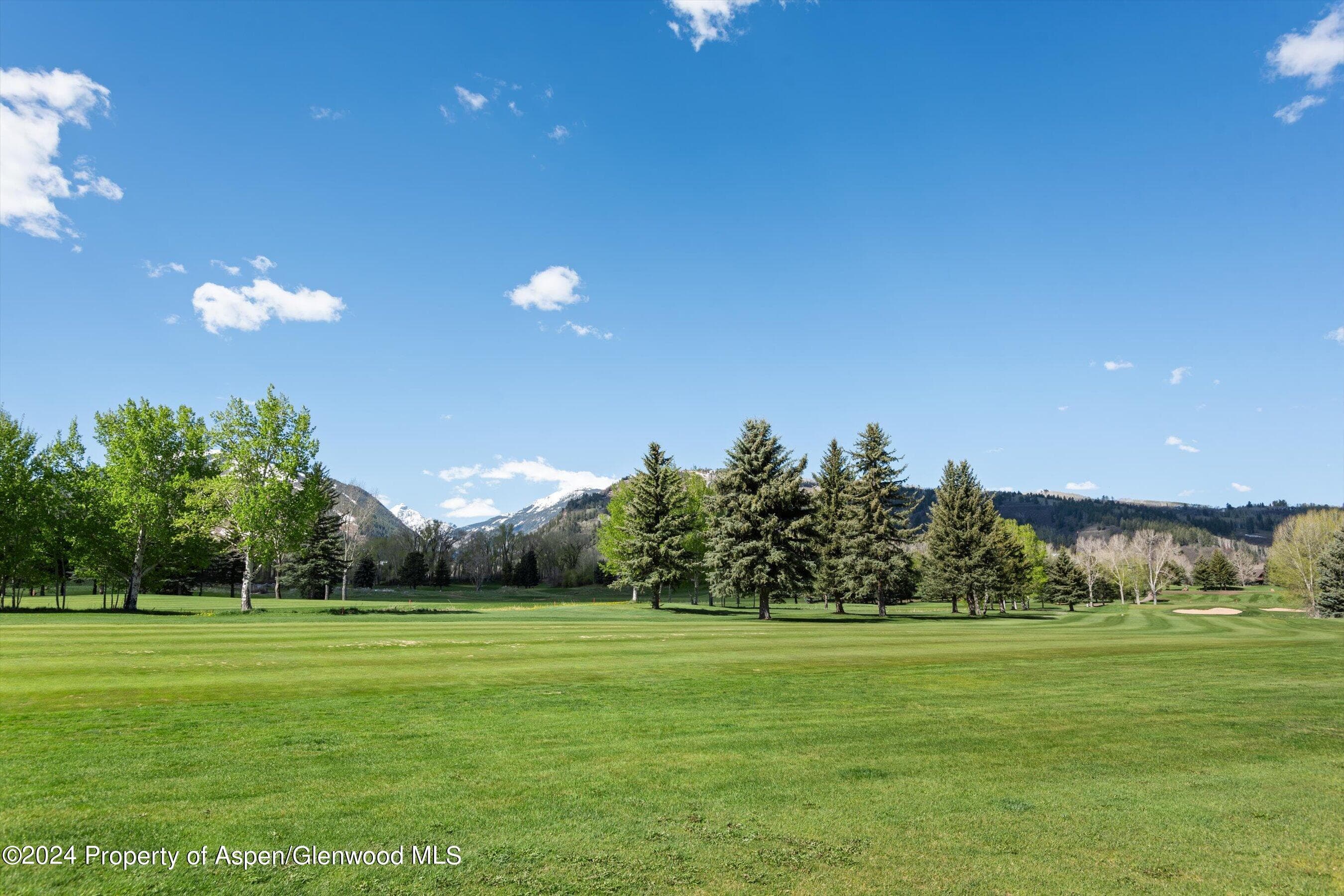855 Bonita Unit A, Aspen, CO 81611 - Photo 8
