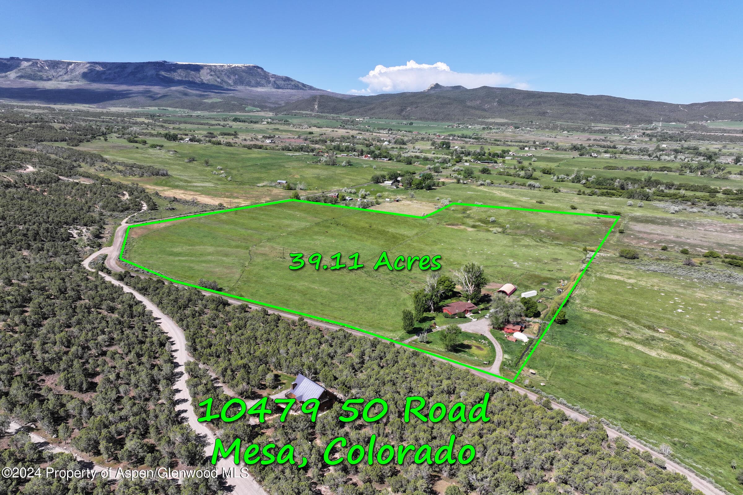 10479 50 Road, Mesa, CO 81643 - Photo 1