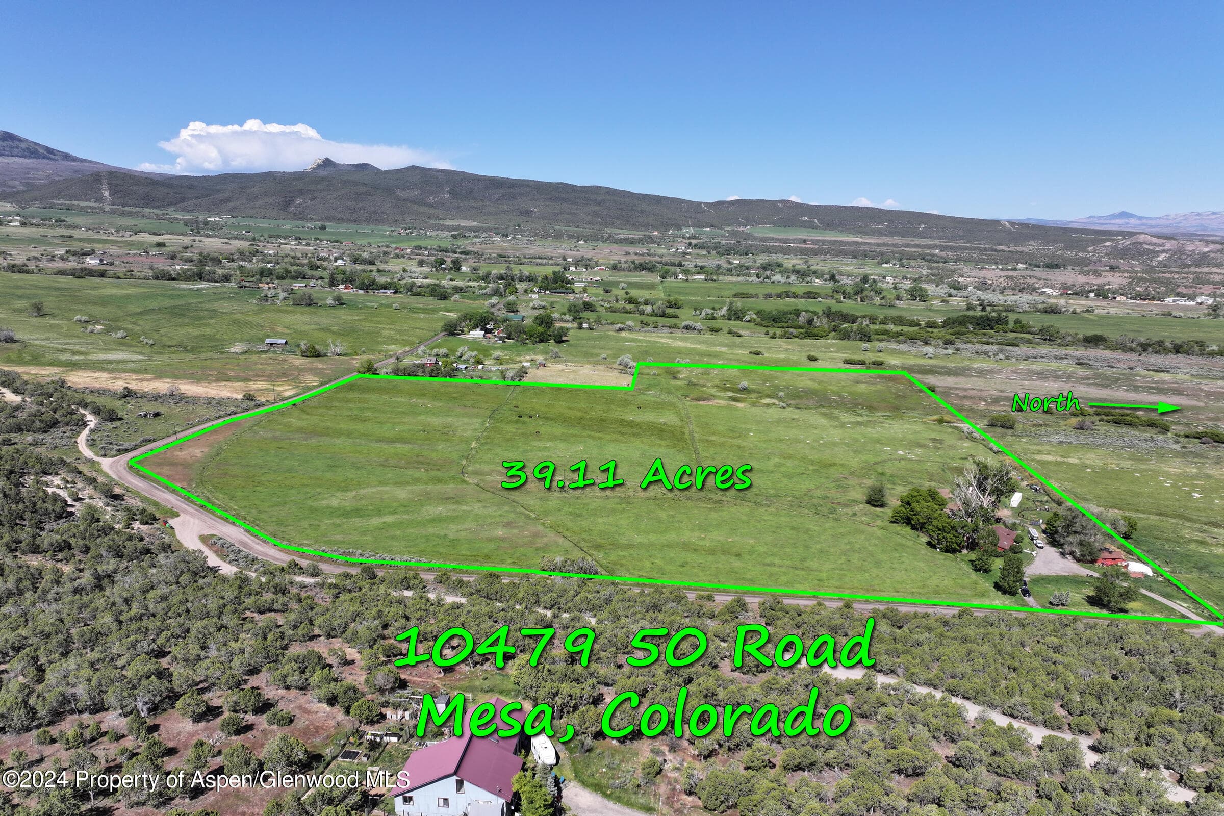 10479 50 Road, Mesa, CO 81643 - Photo 5