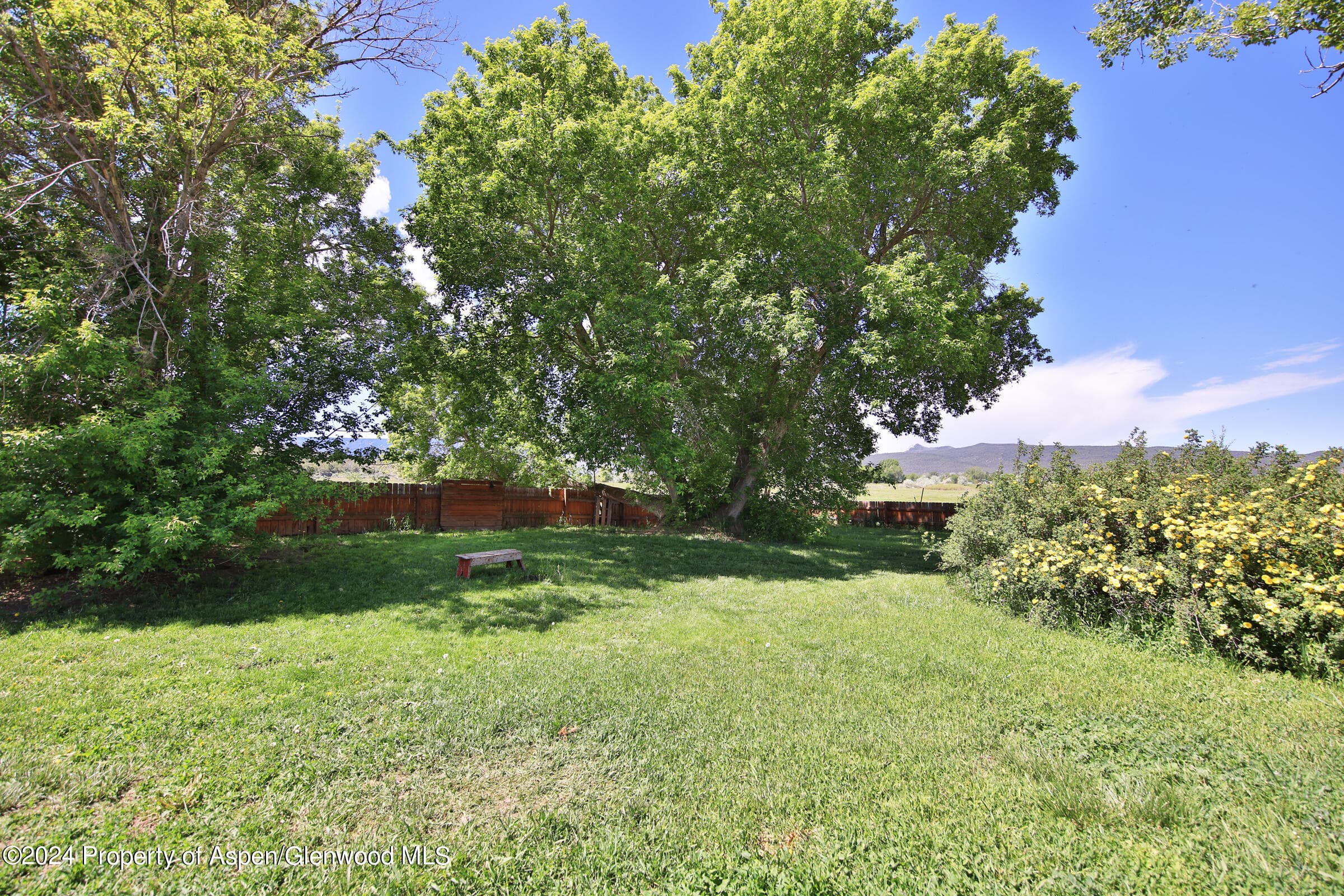 10479 50 Road, Mesa, CO 81643 - Photo 29