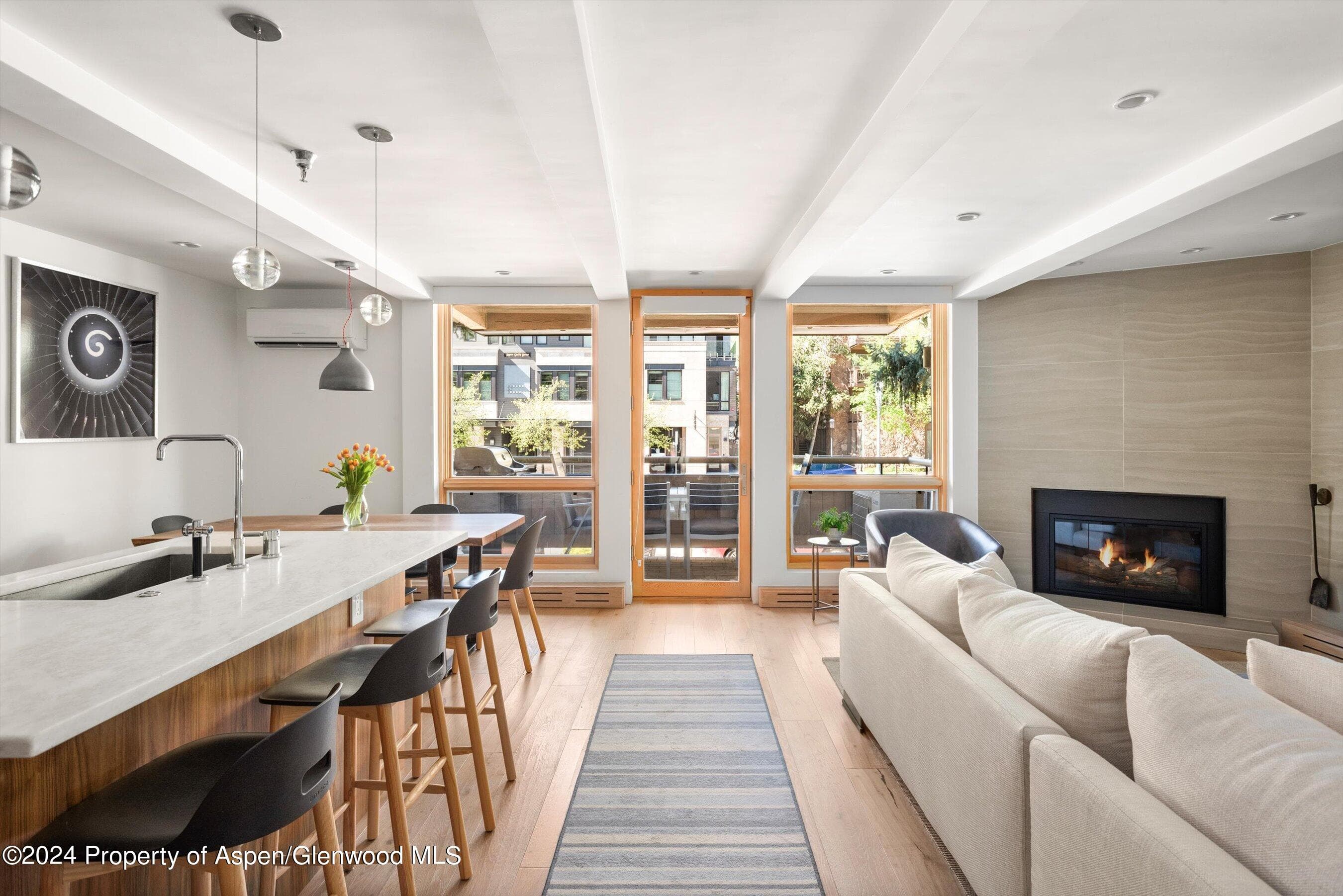 600 E Main Street #205, Aspen, CO 81611