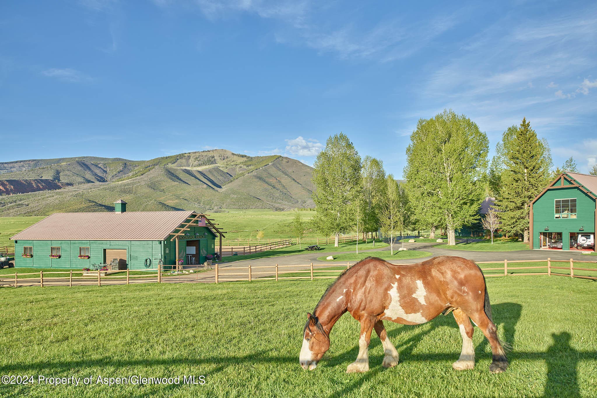 910 White Star Drive, Aspen, CO 81611 - Photo 42