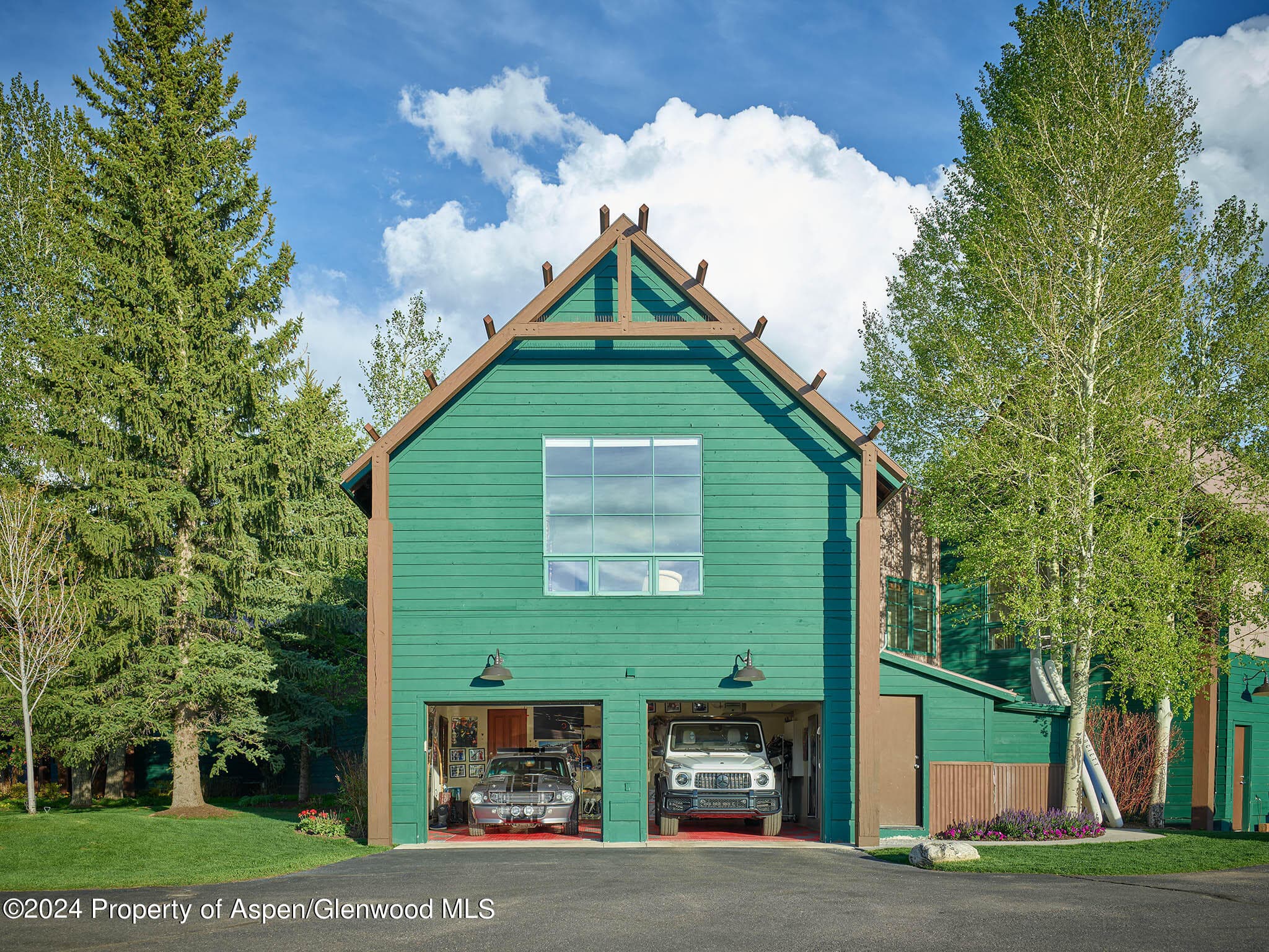 910 White Star Drive, Aspen, CO 81611 - Photo 48