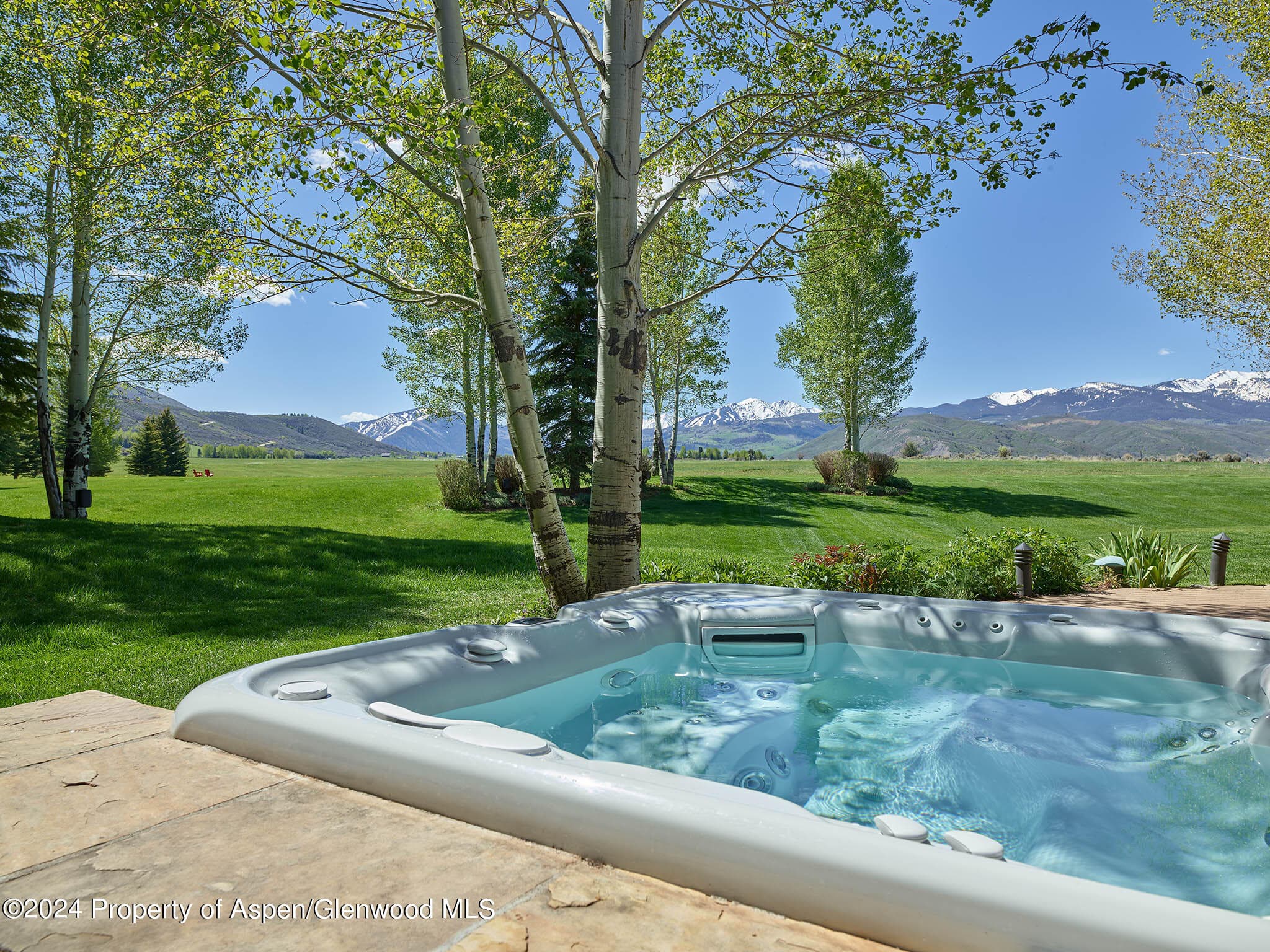 910 White Star Drive, Aspen, CO 81611 - Photo 31