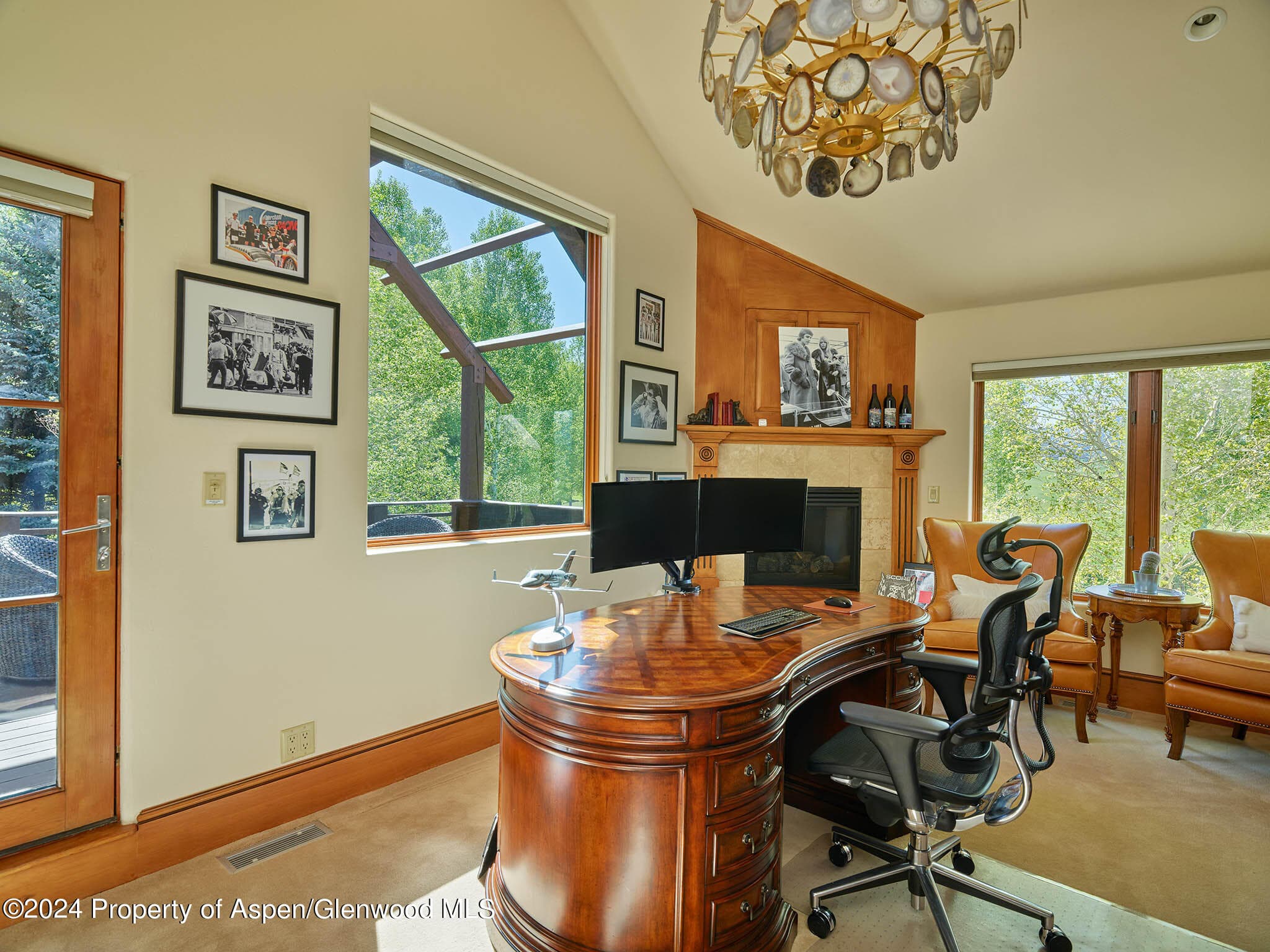 910 White Star Drive, Aspen, CO 81611 - Photo 20
