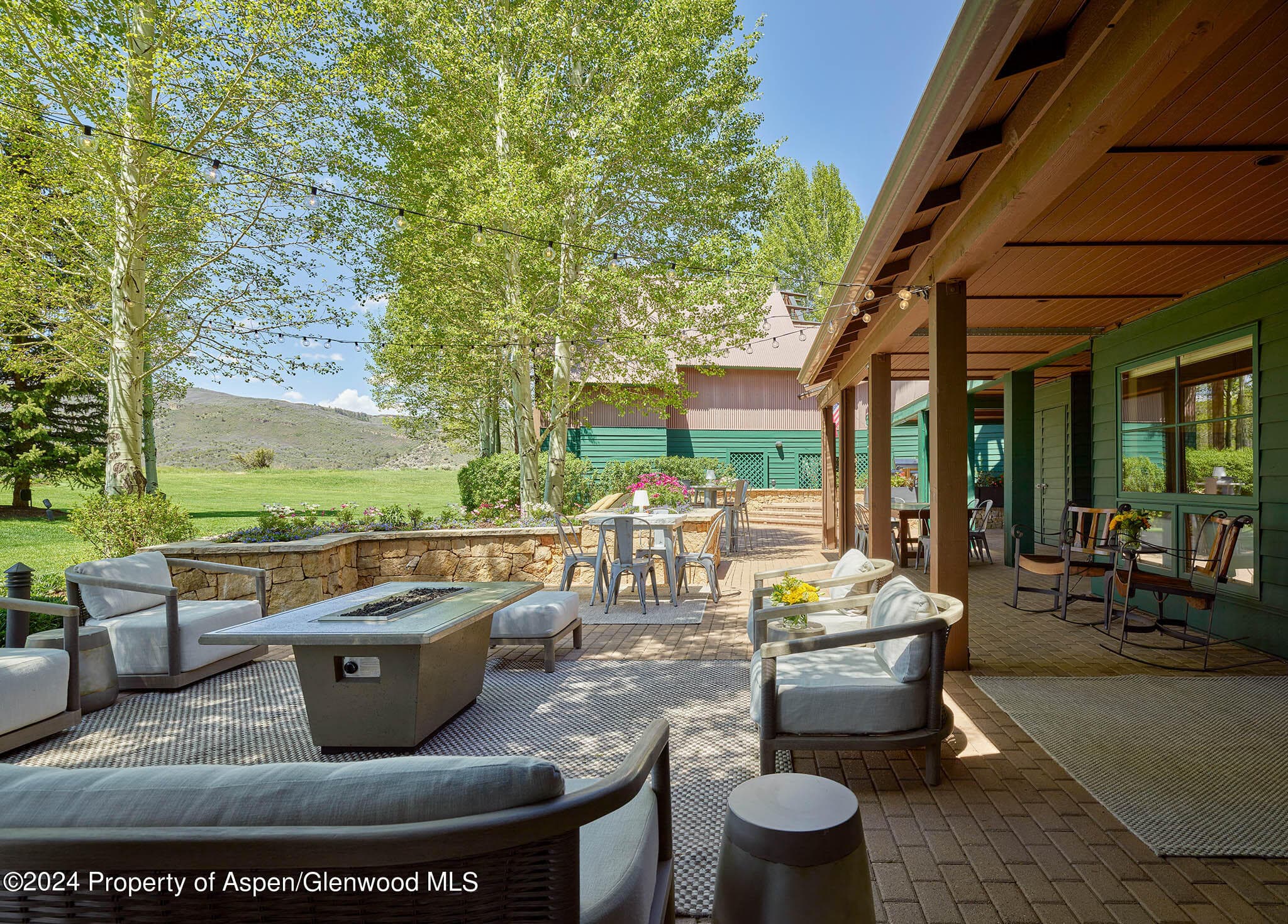 910 White Star Drive, Aspen, CO 81611 - Photo 30