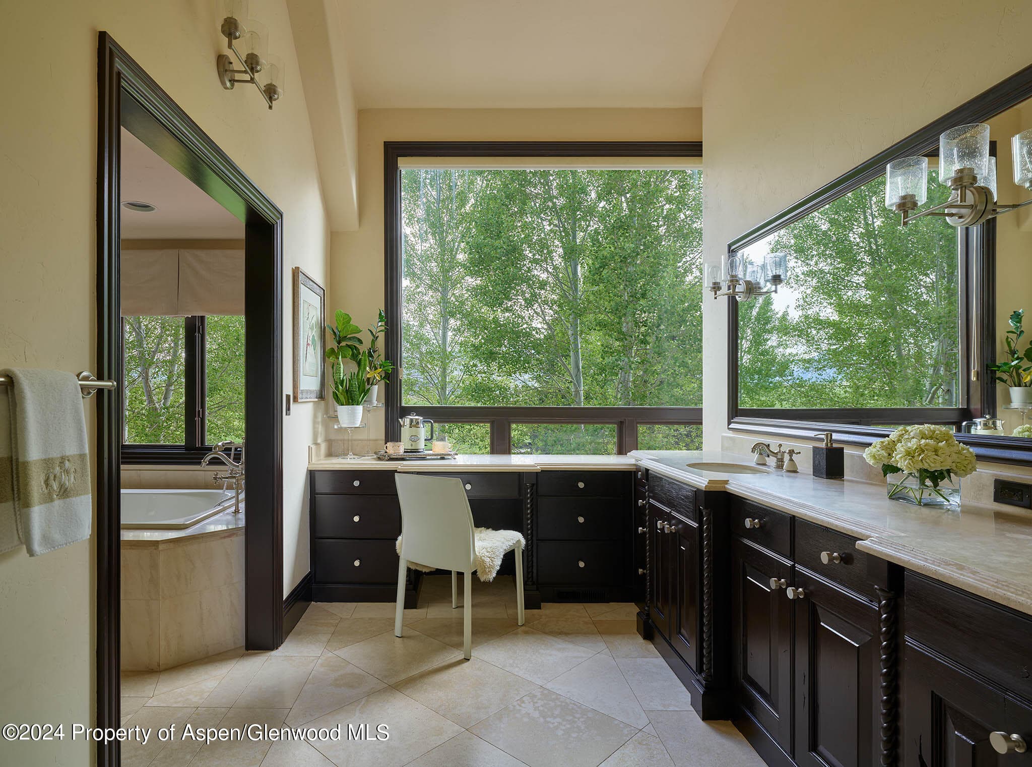 910 White Star Drive, Aspen, CO 81611 - Photo 18