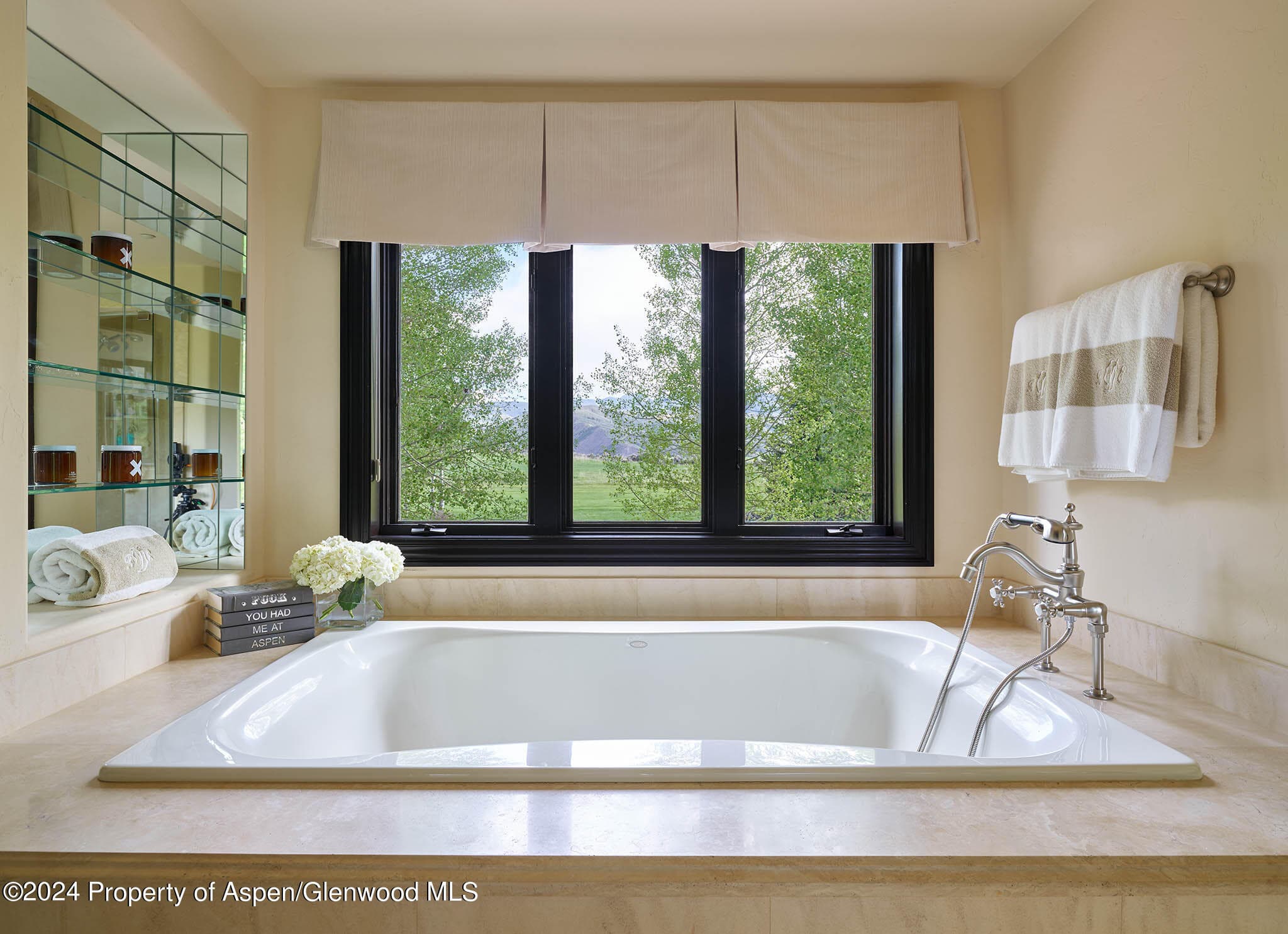 910 White Star Drive, Aspen, CO 81611 - Photo 19