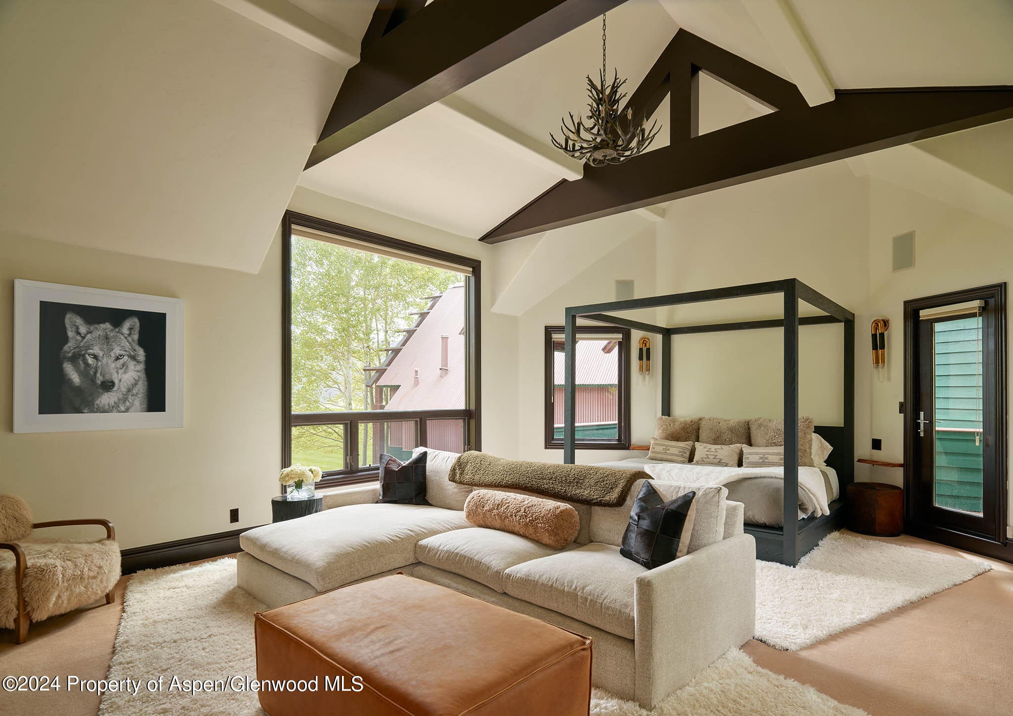910 White Star Drive, Aspen, CO 81611 - Photo 16