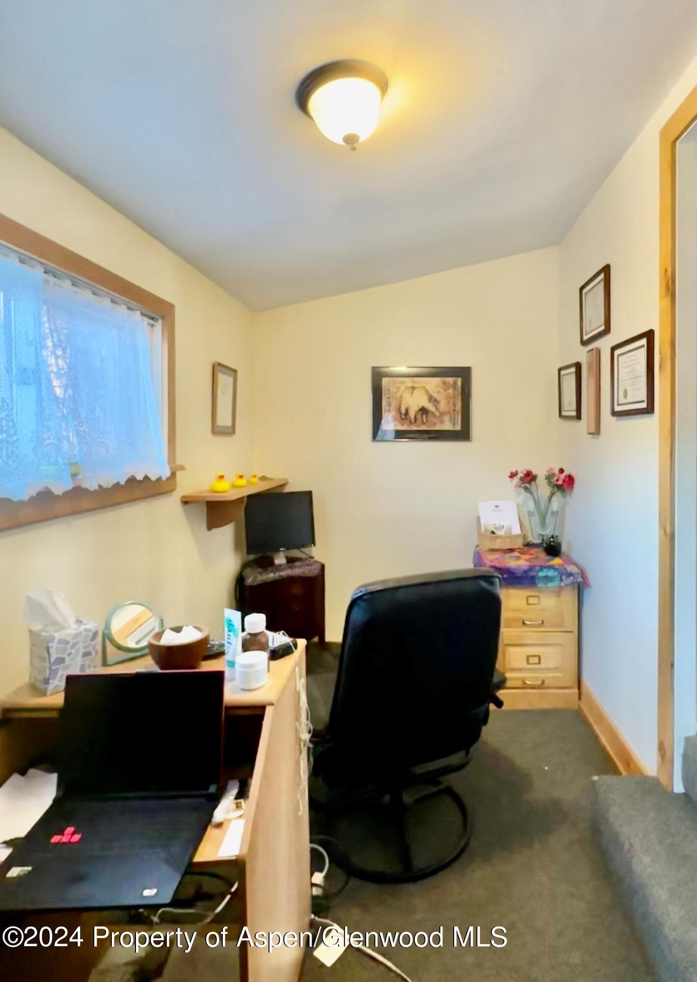 189 Basalt Center Circle, Basalt, CO 81621 - Photo 12