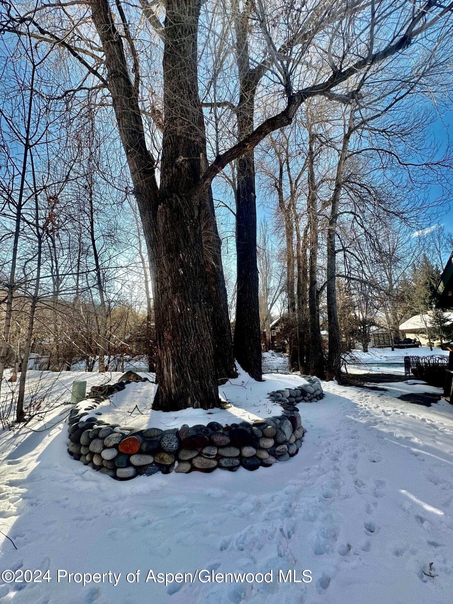 189 Basalt Center Circle, Basalt, CO 81621 - Photo 16