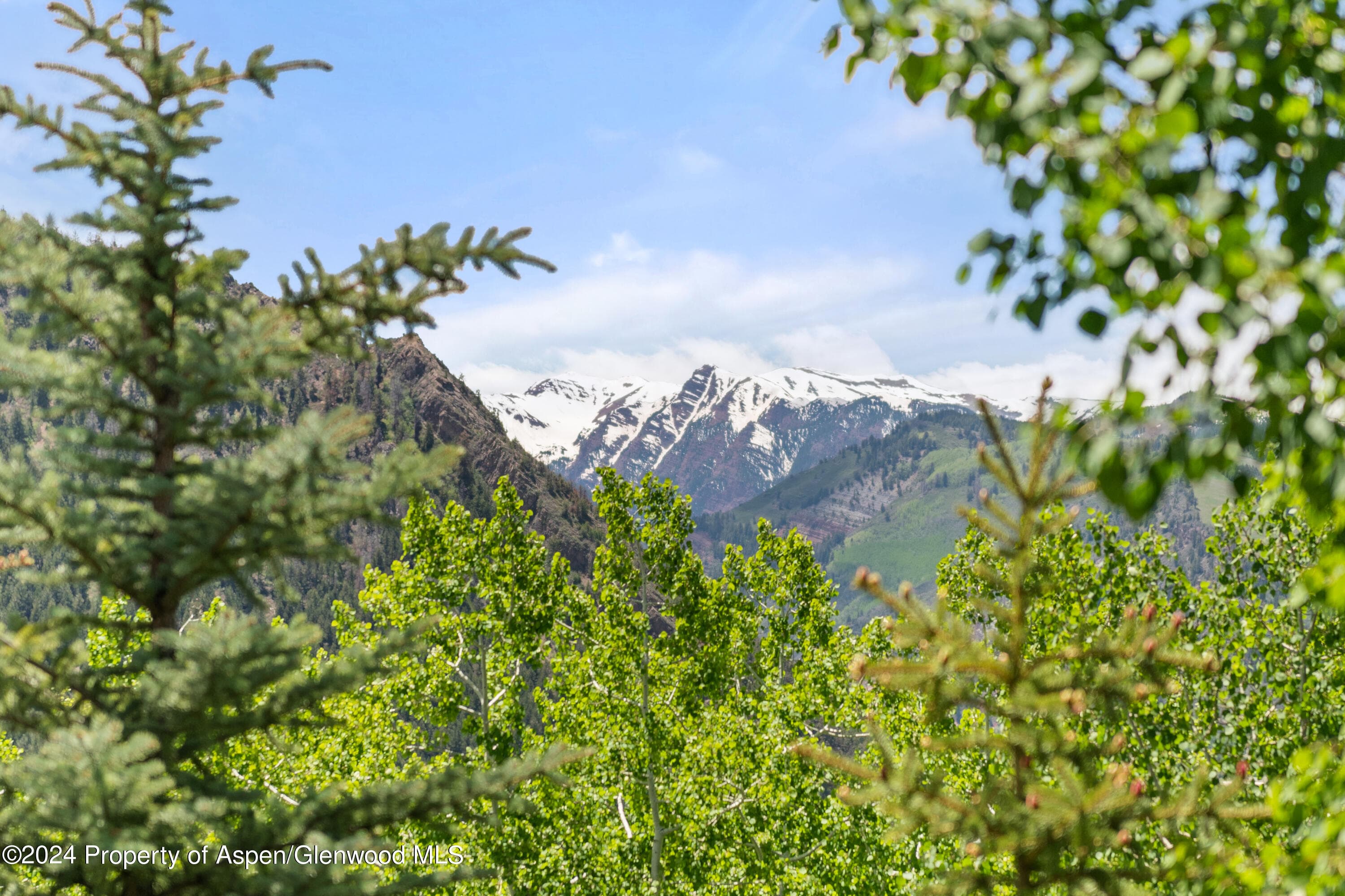 705 Spruce Street, Aspen, CO 81611 - Photo 41