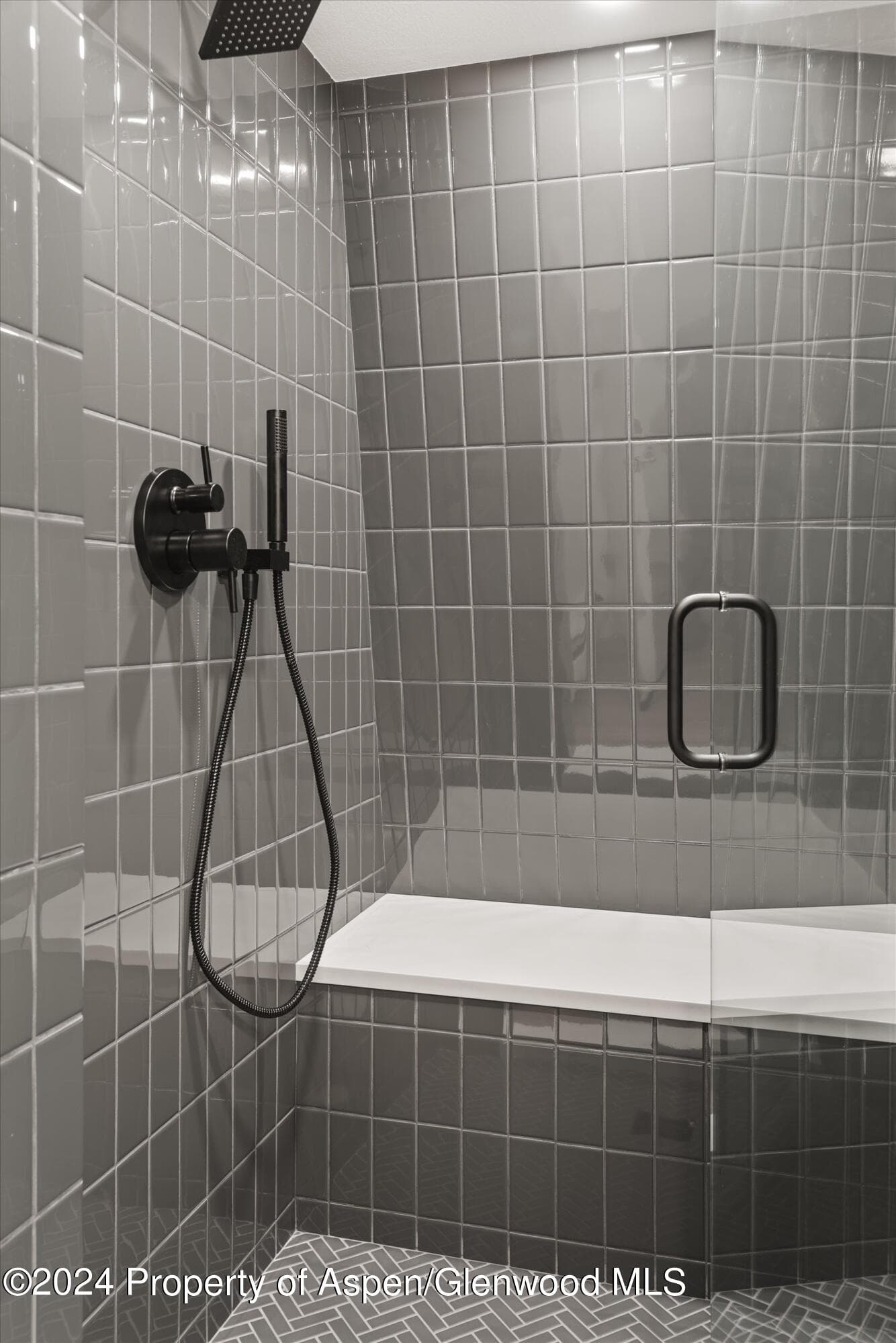 501 W Bleeker Street, Aspen, CO 81611 - Photo 21