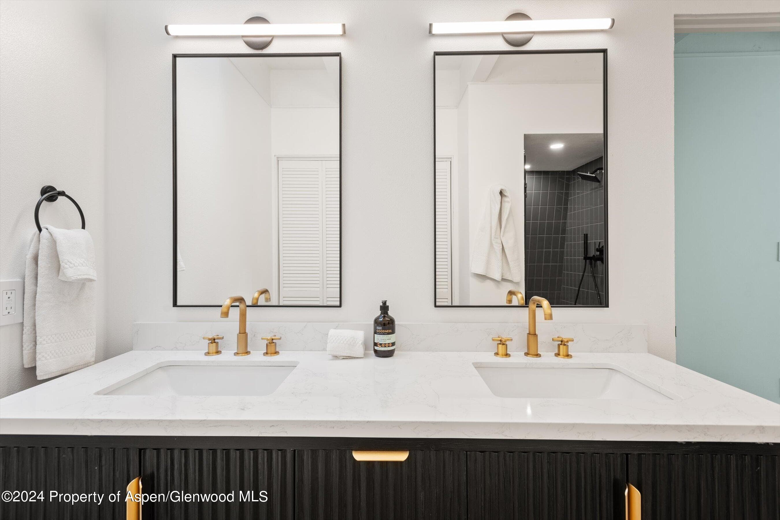 501 W Bleeker Street, Aspen, CO 81611 - Photo 23