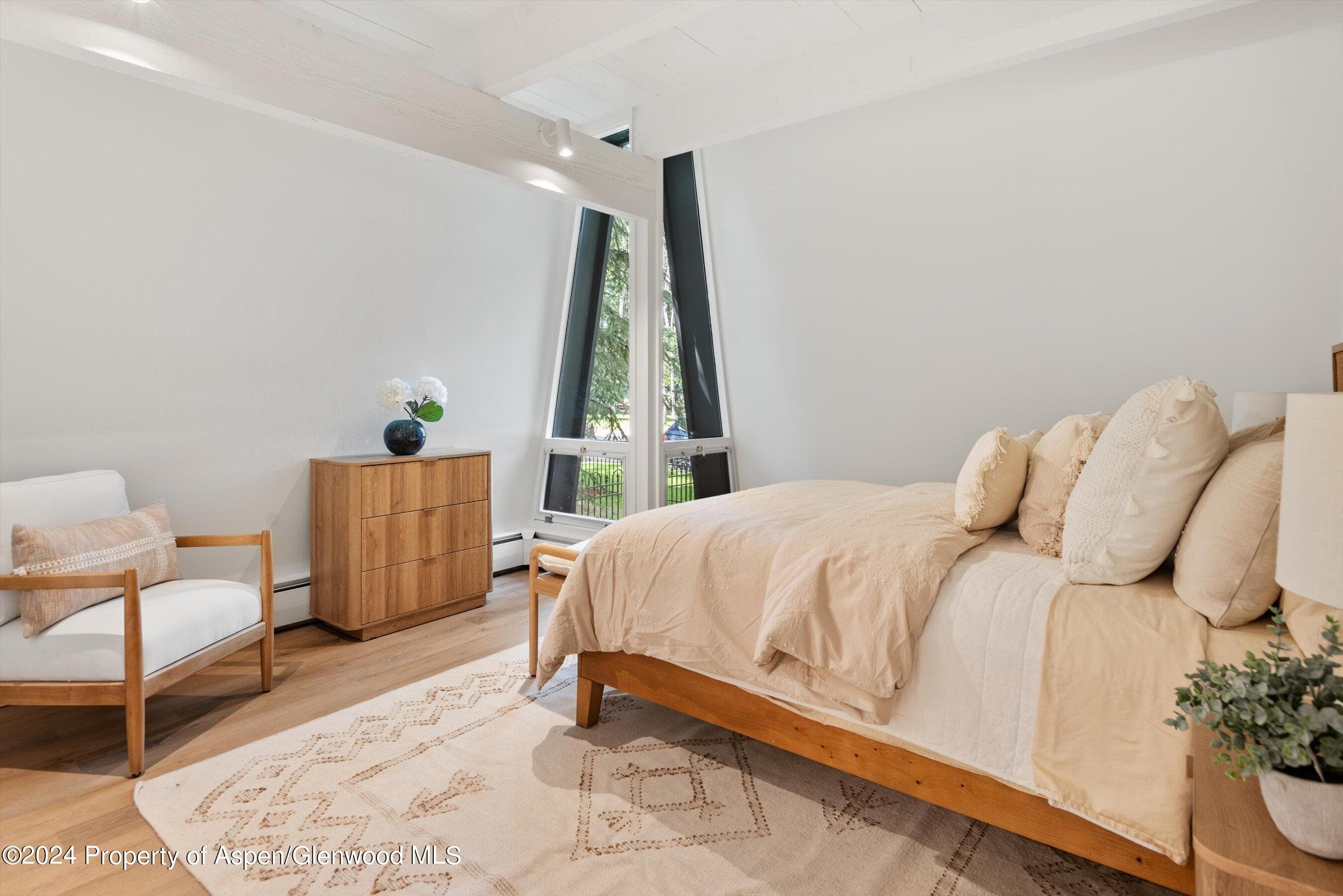 501 W Bleeker Street, Aspen, CO 81611 - Photo 24