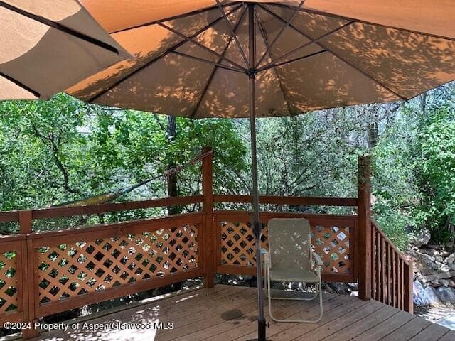 120 Lava Hill, Carbondale, CO 81623 - Photo 4
