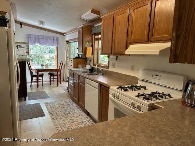 120 Lava Hill, Carbondale, CO 81623 - Photo 7