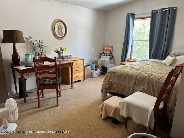120 Lava Hill, Carbondale, CO 81623 - Photo 14