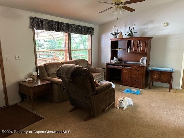 120 Lava Hill, Carbondale, CO 81623 - Photo 10