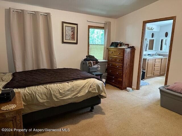 120 Lava Hill, Carbondale, CO 81623 - Photo 12