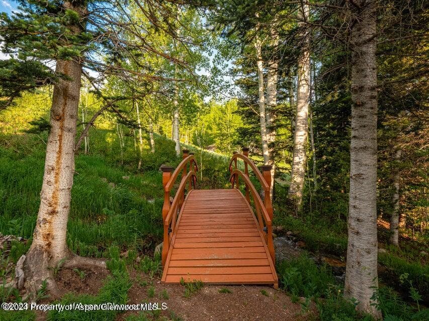 1457 Wood Road, Snowmass Village, CO 81615 - Photo 48