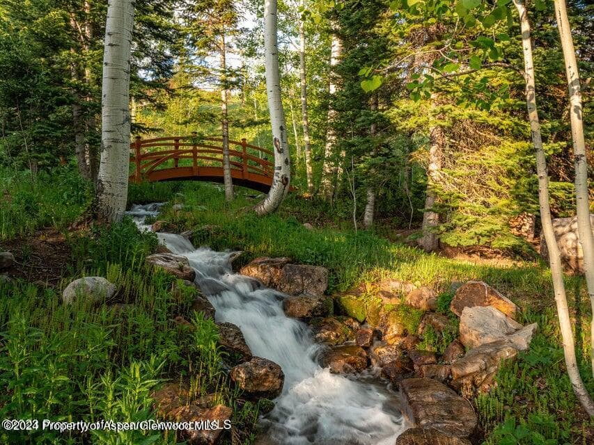 1457 Wood Road, Snowmass Village, CO 81615 - Photo 12