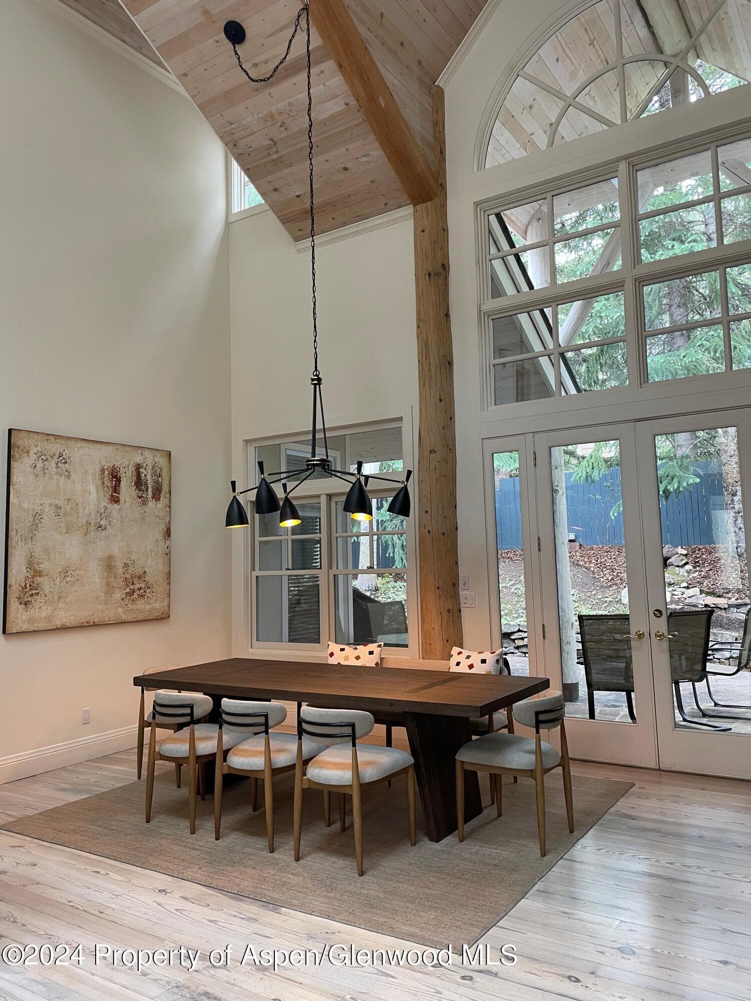 907 Waters Avenue, Aspen, CO 81611 - Photo 2