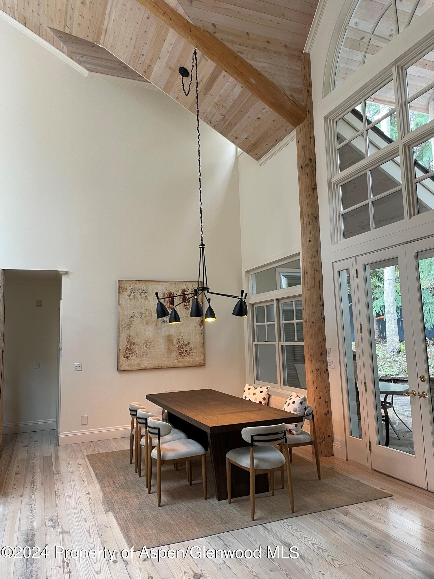 907 Waters Avenue, Aspen, CO 81611 - Photo 3
