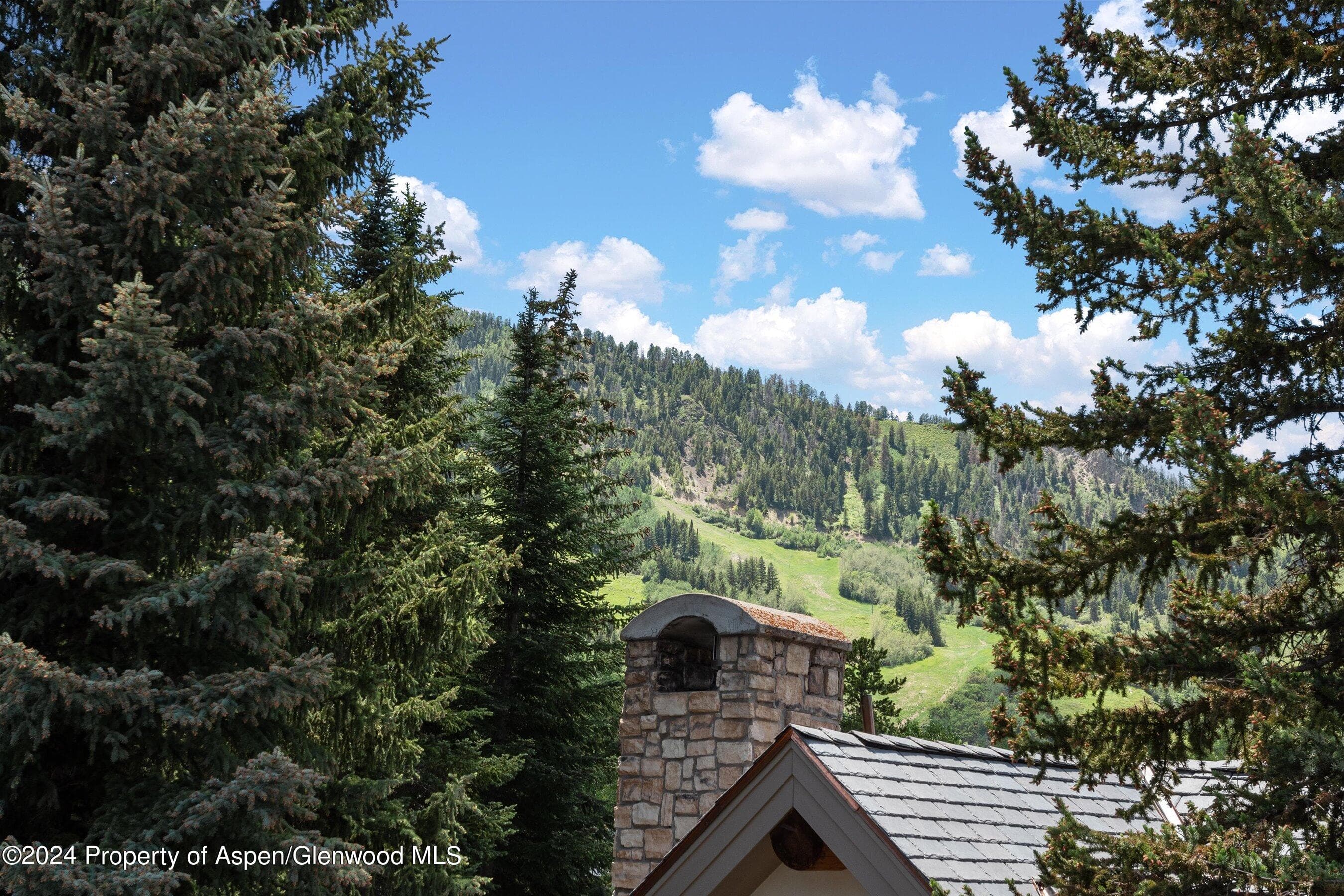 1016 E Hyman Avenue 2, Aspen, CO 81611 - Photo 21