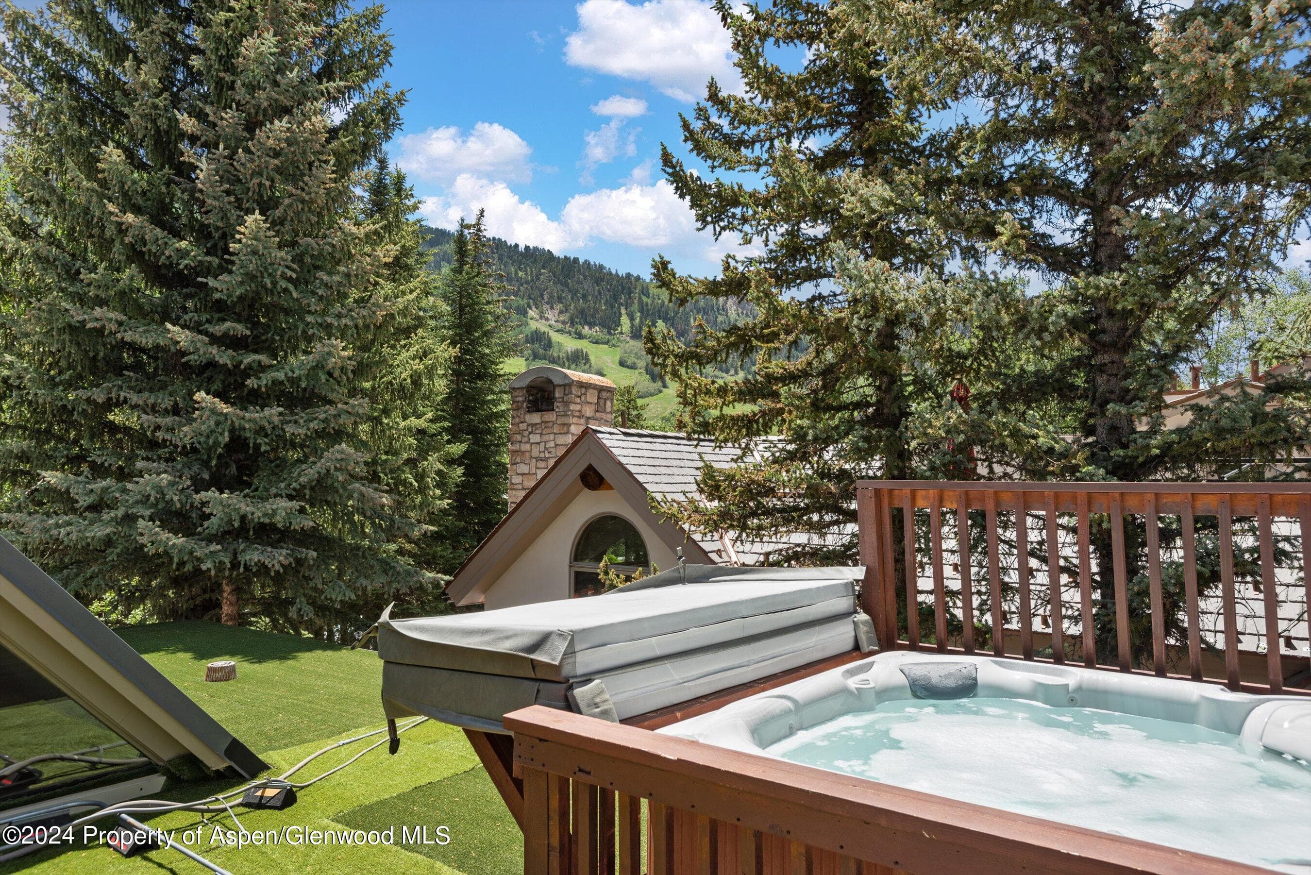 1016 E Hyman Avenue 2, Aspen, CO 81611 - Photo 15