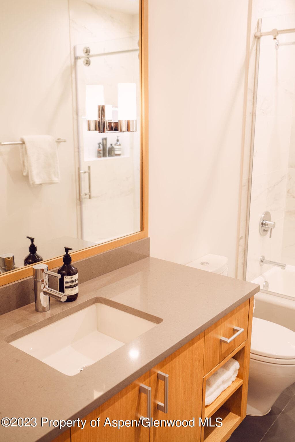 1006 E Cooper Avenue, Aspen, CO 81611 - Photo 57