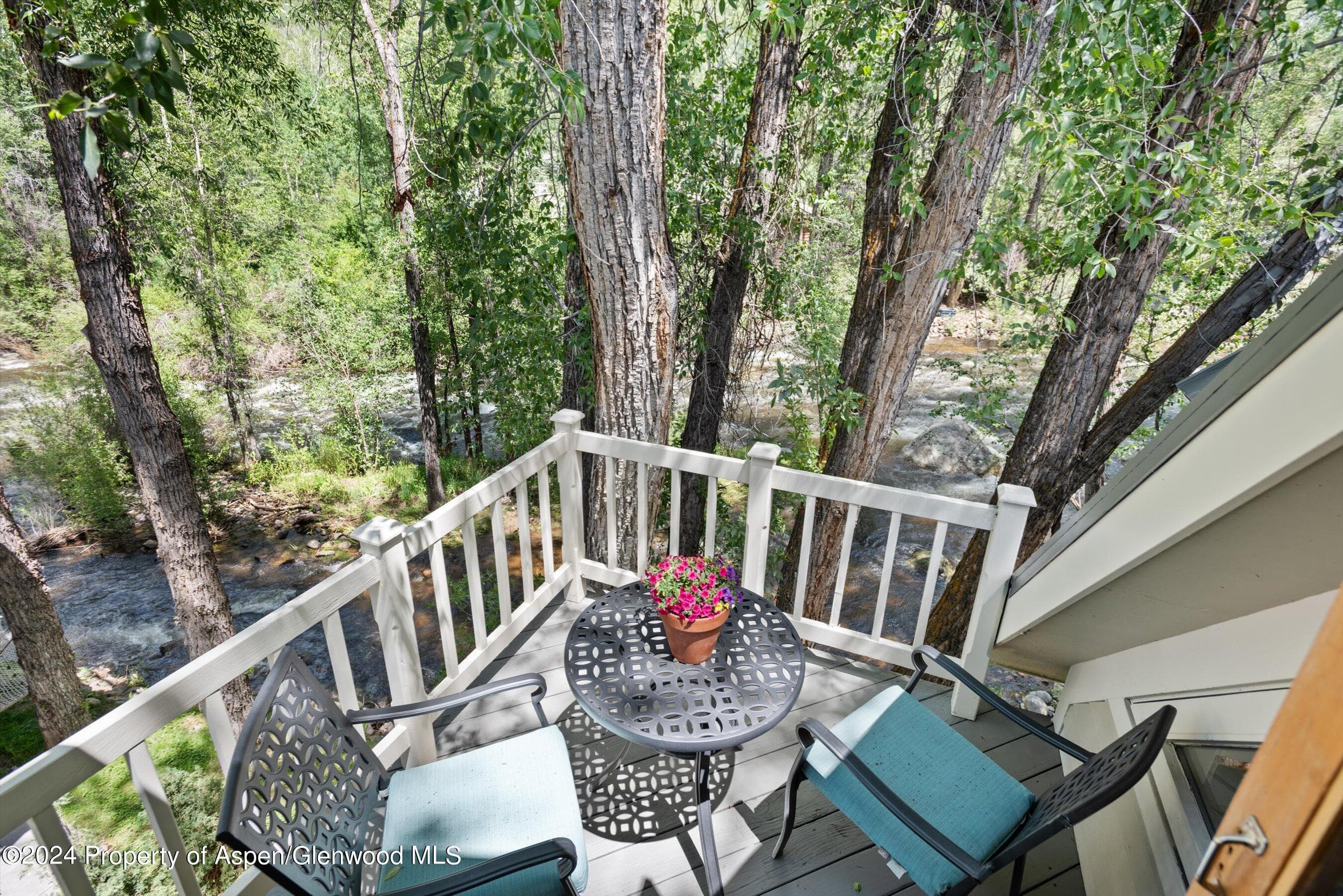 1020 E Hyman Units 1 & 2, Aspen, CO 81611 - Photo 35