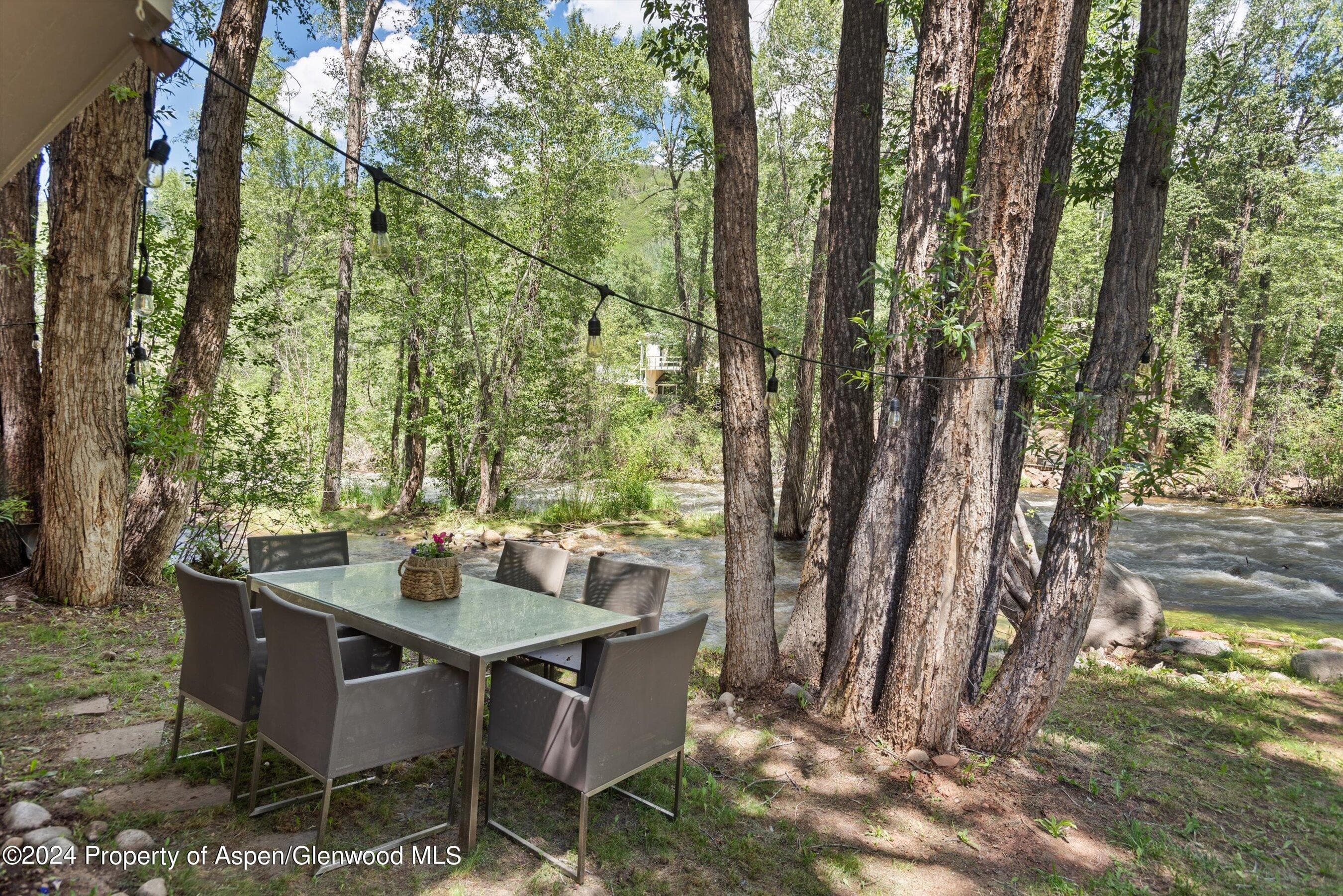 1020 E Hyman Units 1 & 2, Aspen, CO 81611 - Photo 36