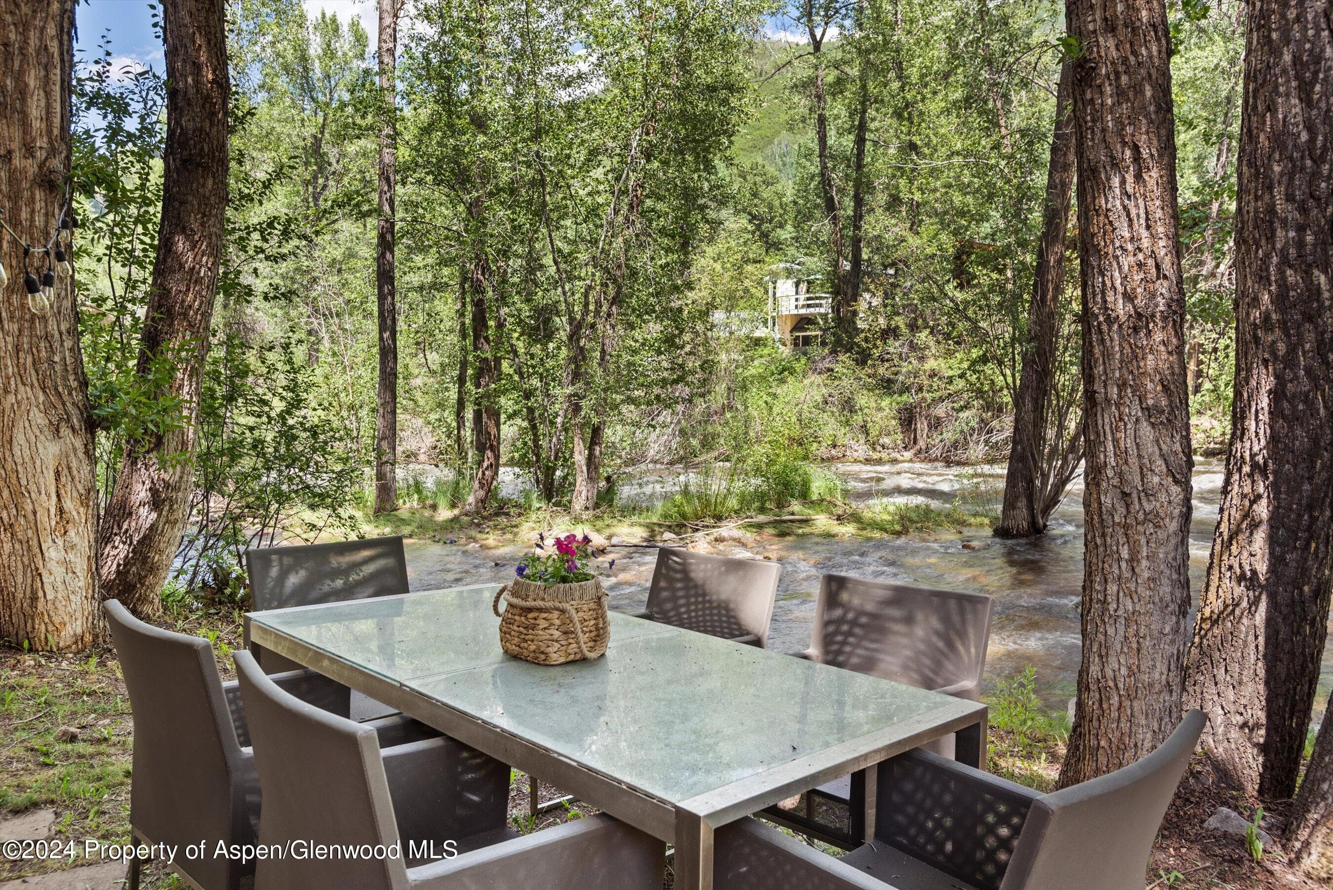 1020 E Hyman Units 1 & 2, Aspen, CO 81611 - Photo 37