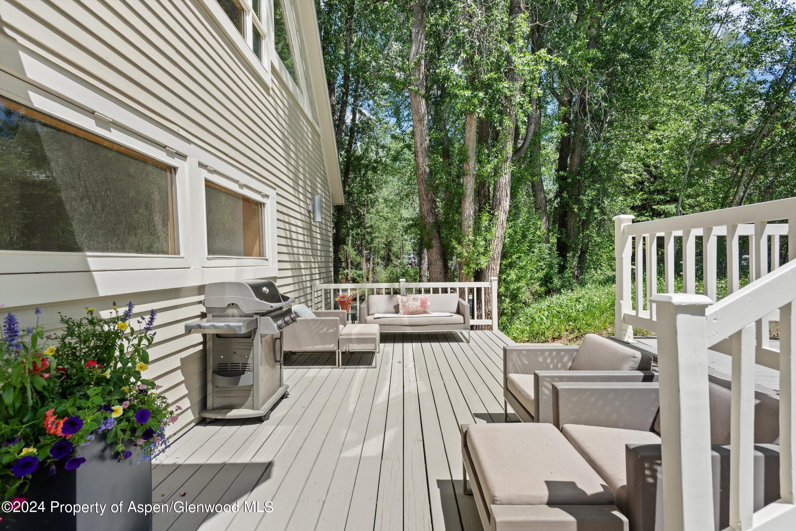 1020 E Hyman Units 1 & 2, Aspen, CO 81611 - Photo 46