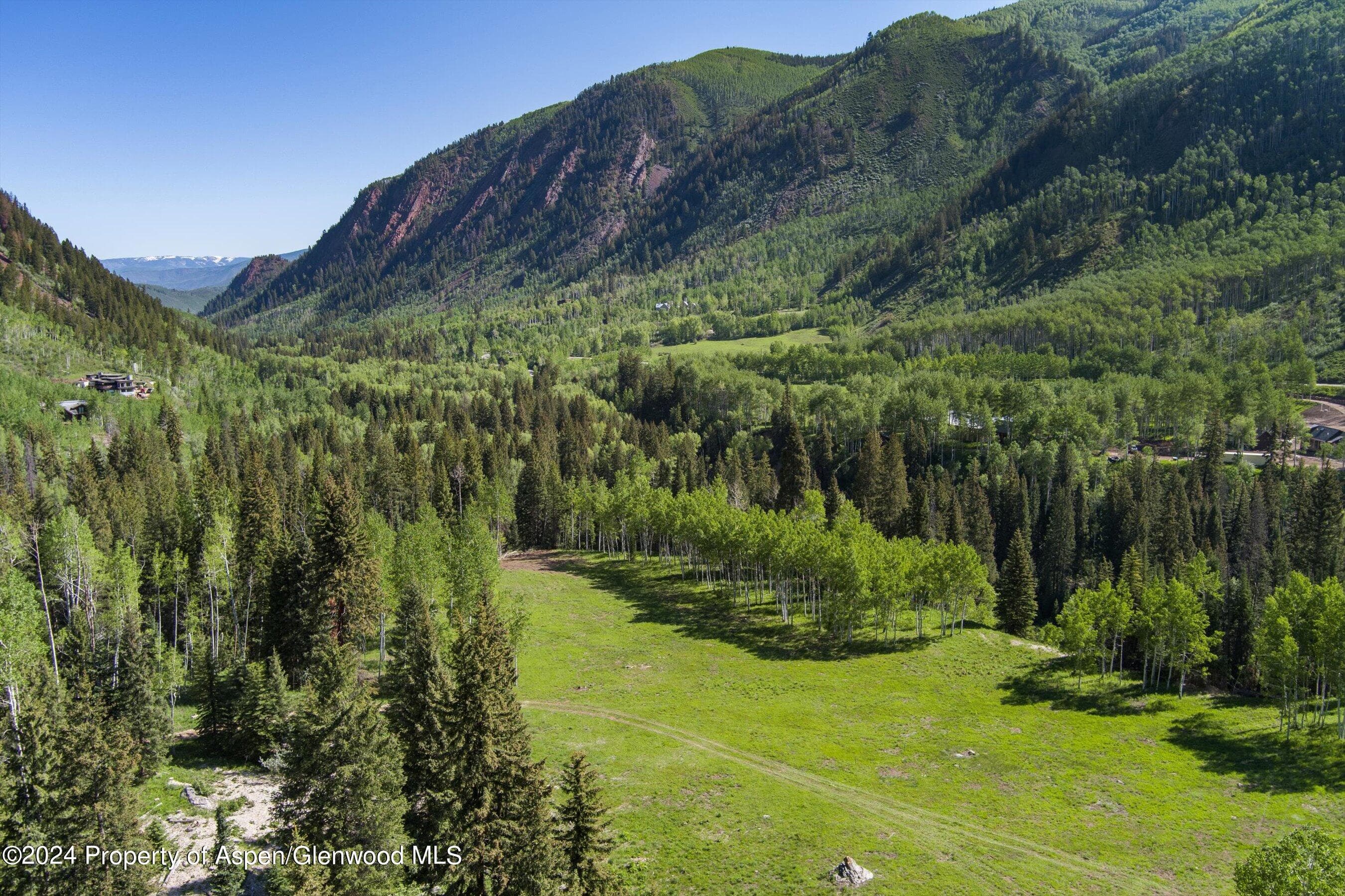 TBD Conundrum Creek Road, Aspen, CO 81611 - Photo 11