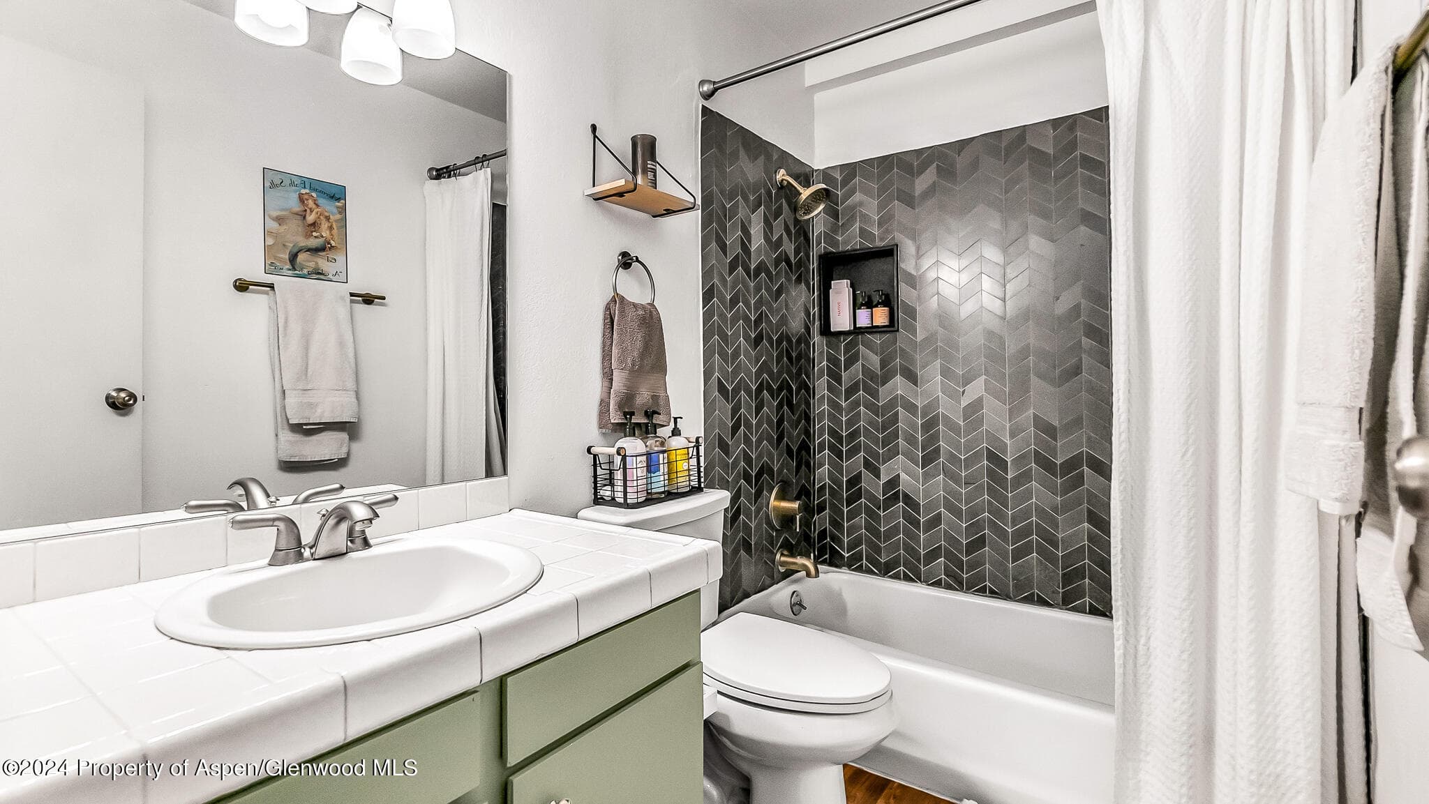 2503 CISAR Court 2F, Glenwood Springs, CO 81601 - Photo 12