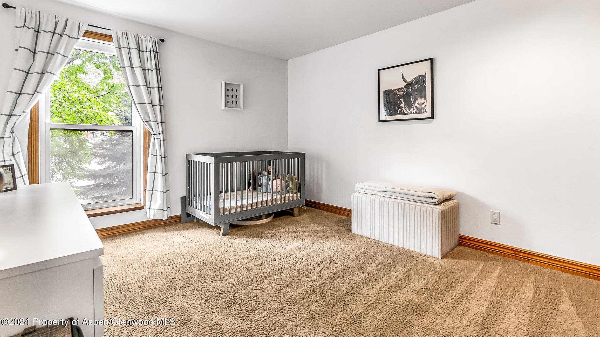 2503 CISAR Court 2F, Glenwood Springs, CO 81601 - Photo 13