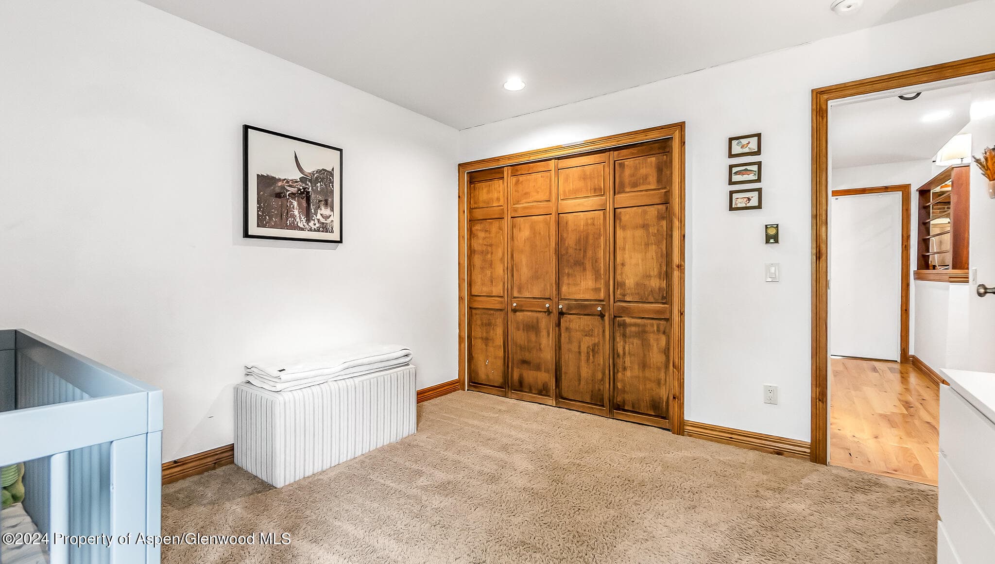 2503 CISAR Court 2F, Glenwood Springs, CO 81601 - Photo 14