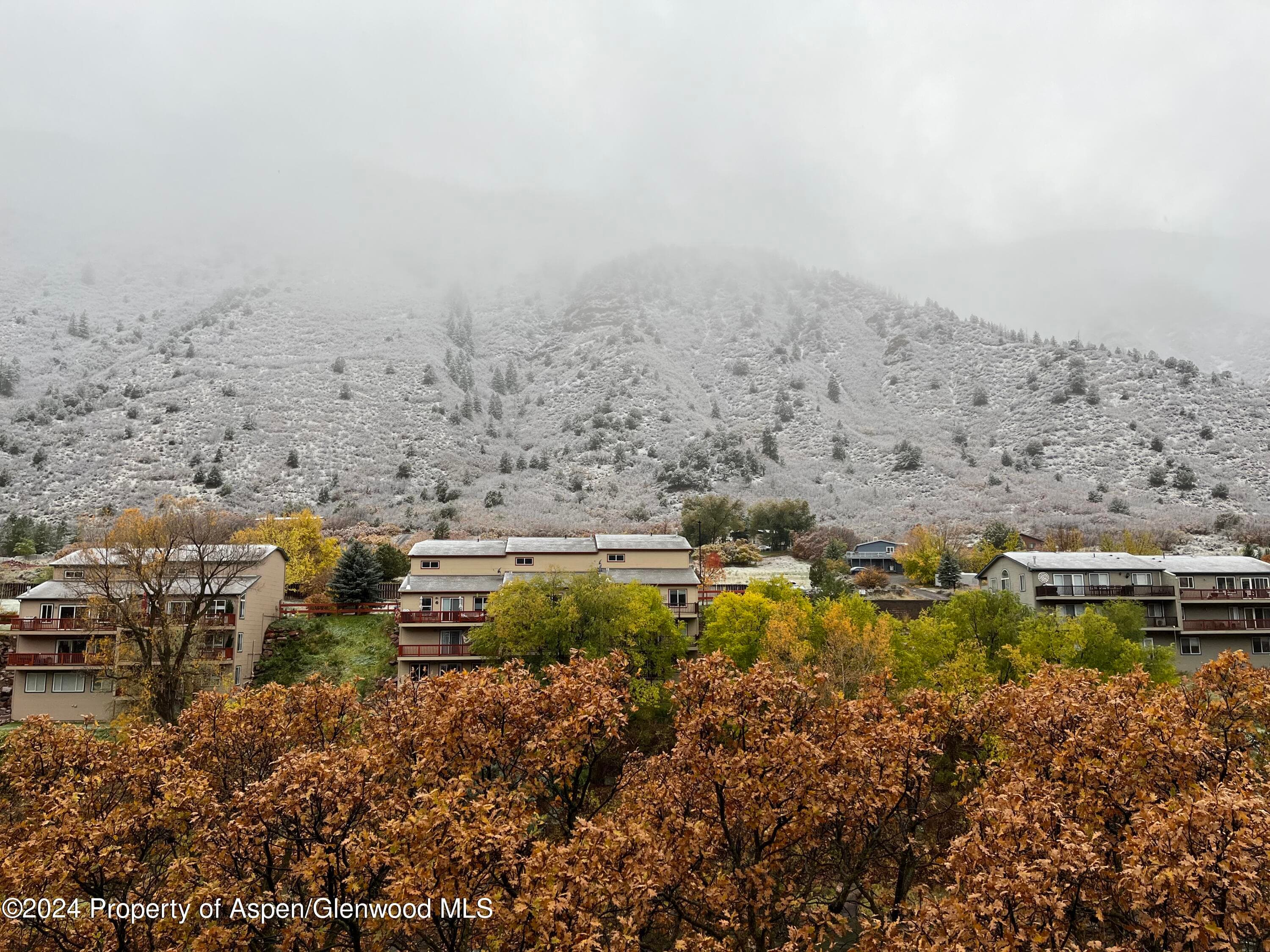 2503 CISAR Court 2F, Glenwood Springs, CO 81601 - Photo 23