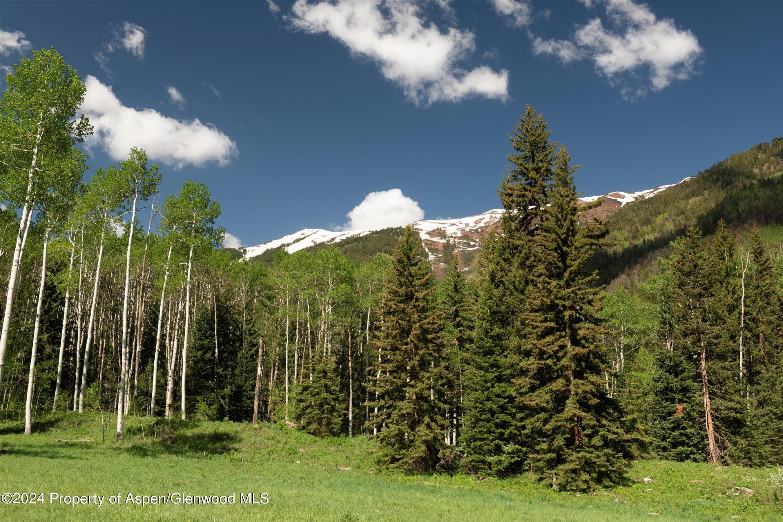 TBD Conundrum Creek Road, Aspen, CO 81611 - Photo 5