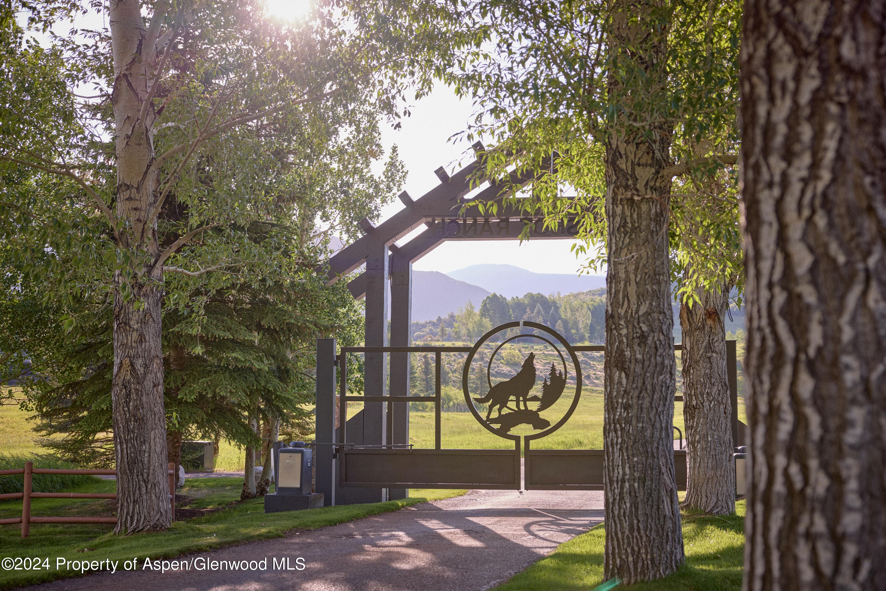 910 White Star Drive, Aspen, CO 81611 - Photo 4