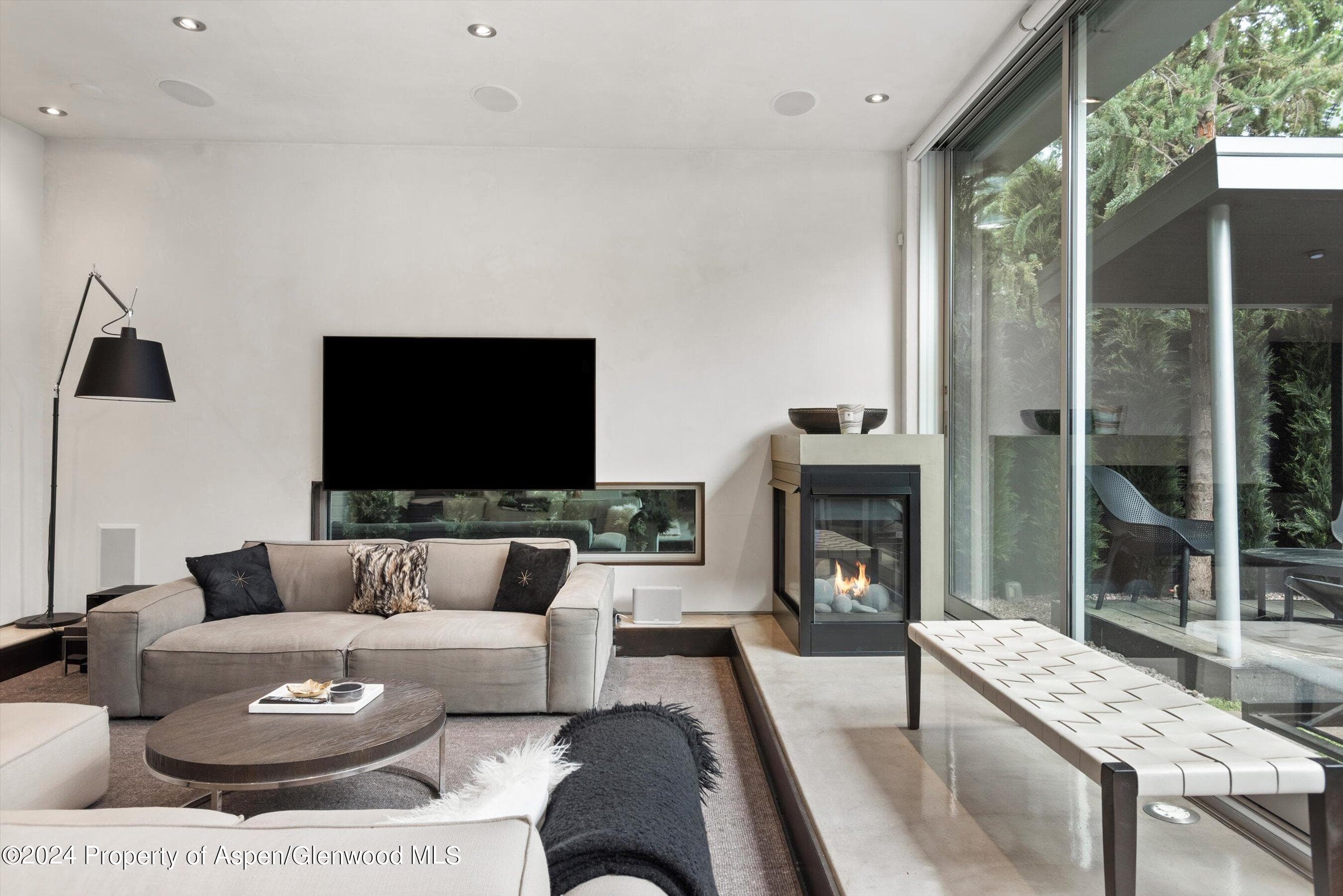 1180 Dale Avenue, Aspen, CO 81611 - Photo 9