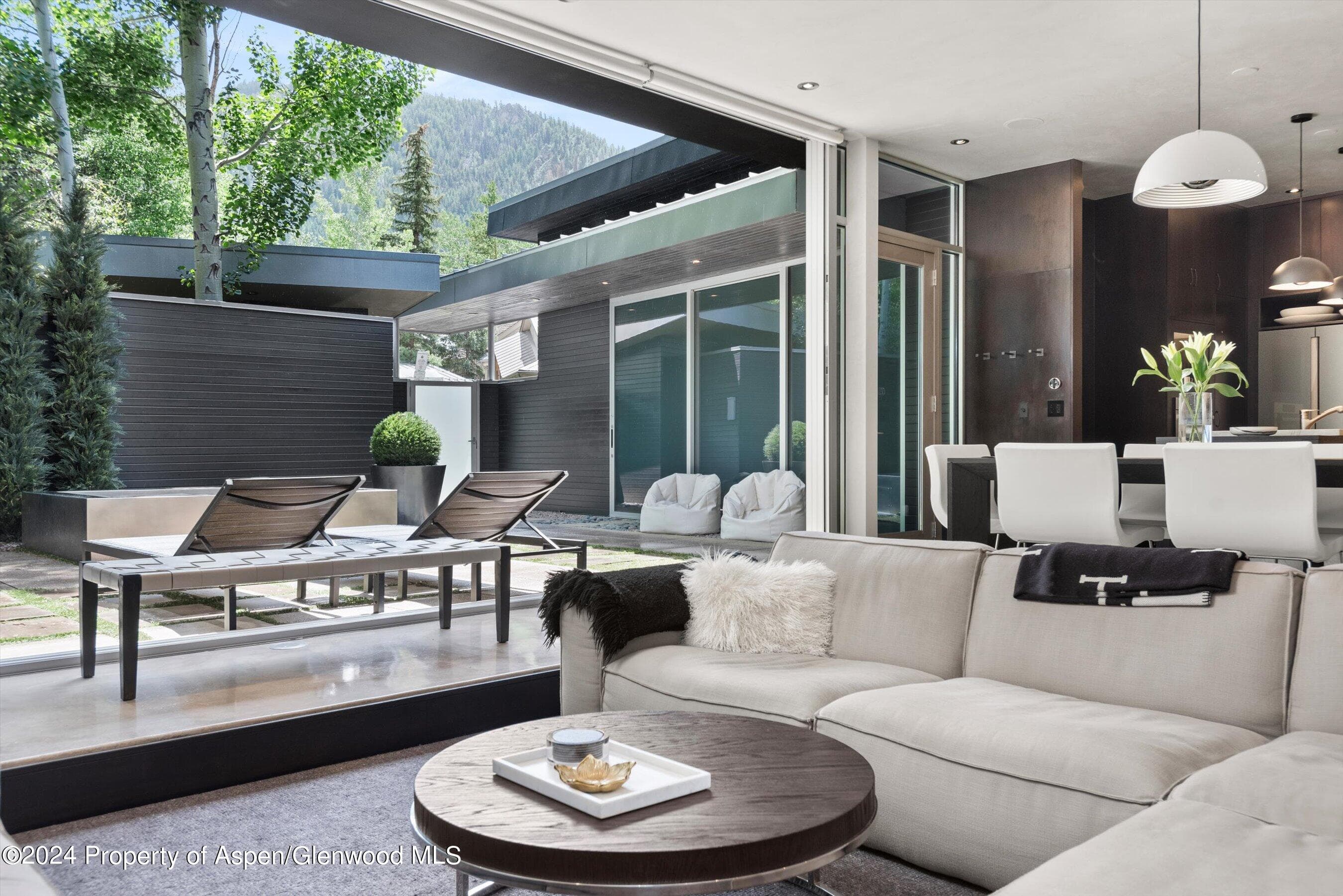 1180 Dale Avenue, Aspen, CO 81611 - Photo 10