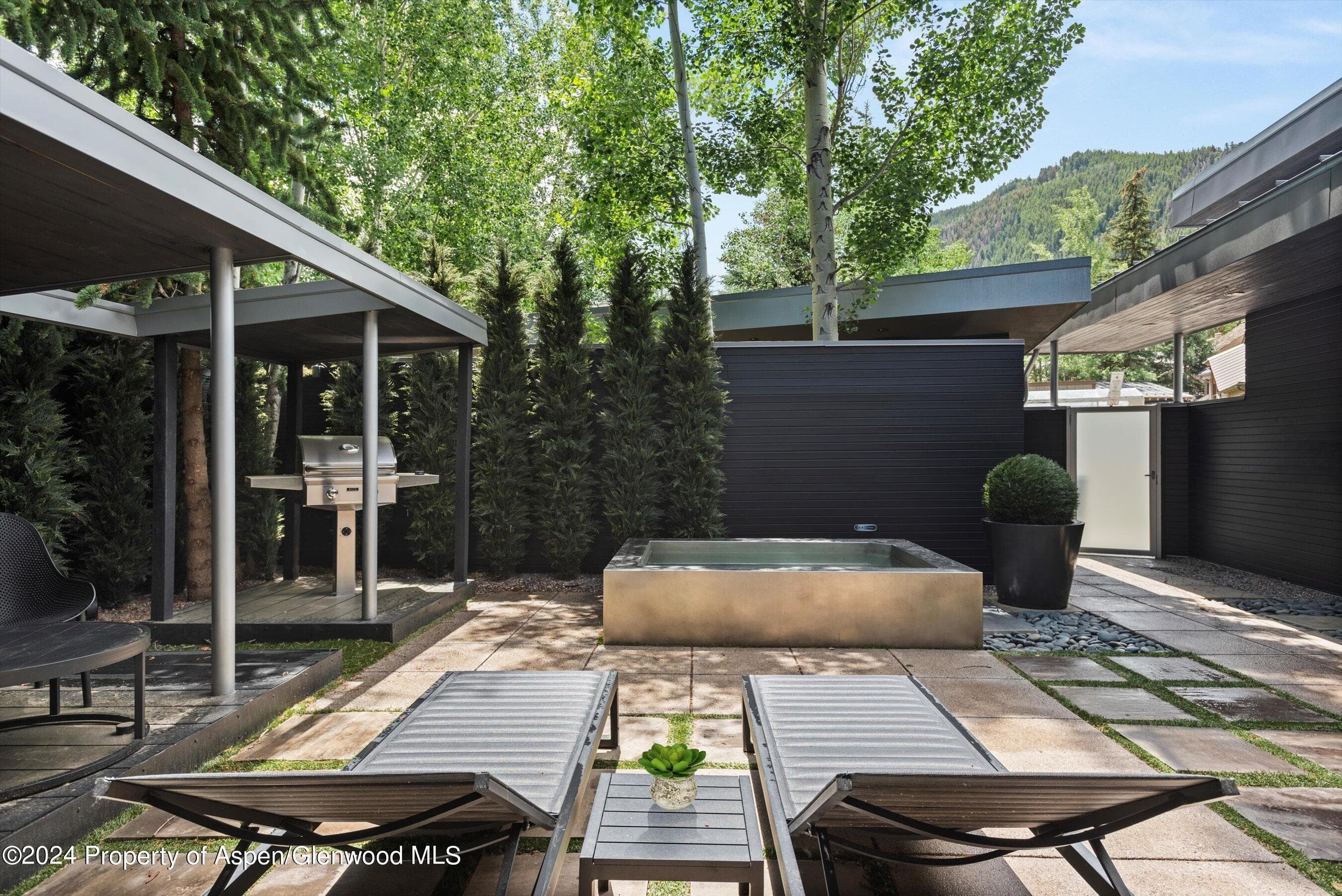 1180 Dale Avenue, Aspen, CO 81611 - Photo 12